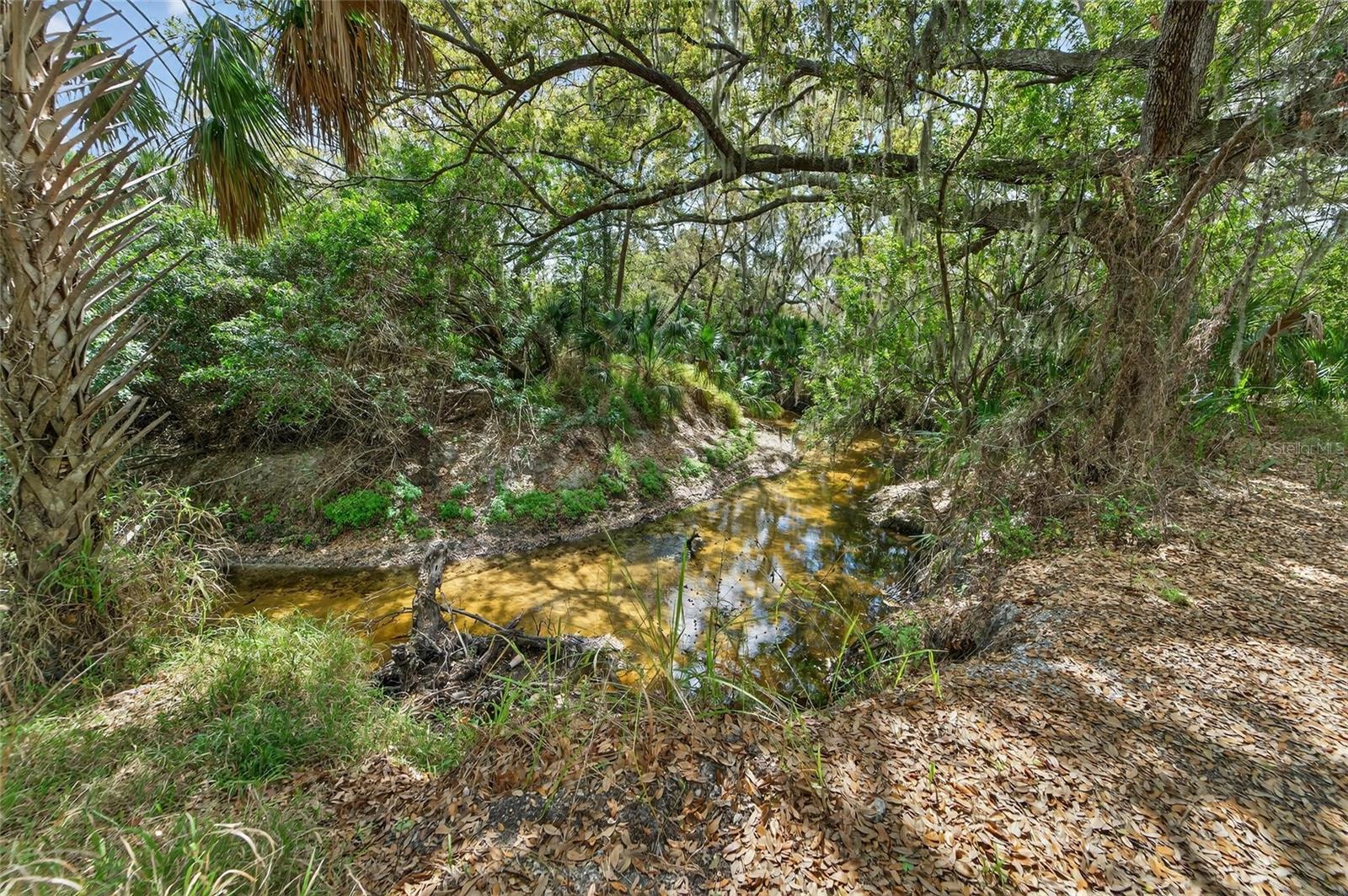 Image 65 of 90 For 9824 Hound Chase Drive