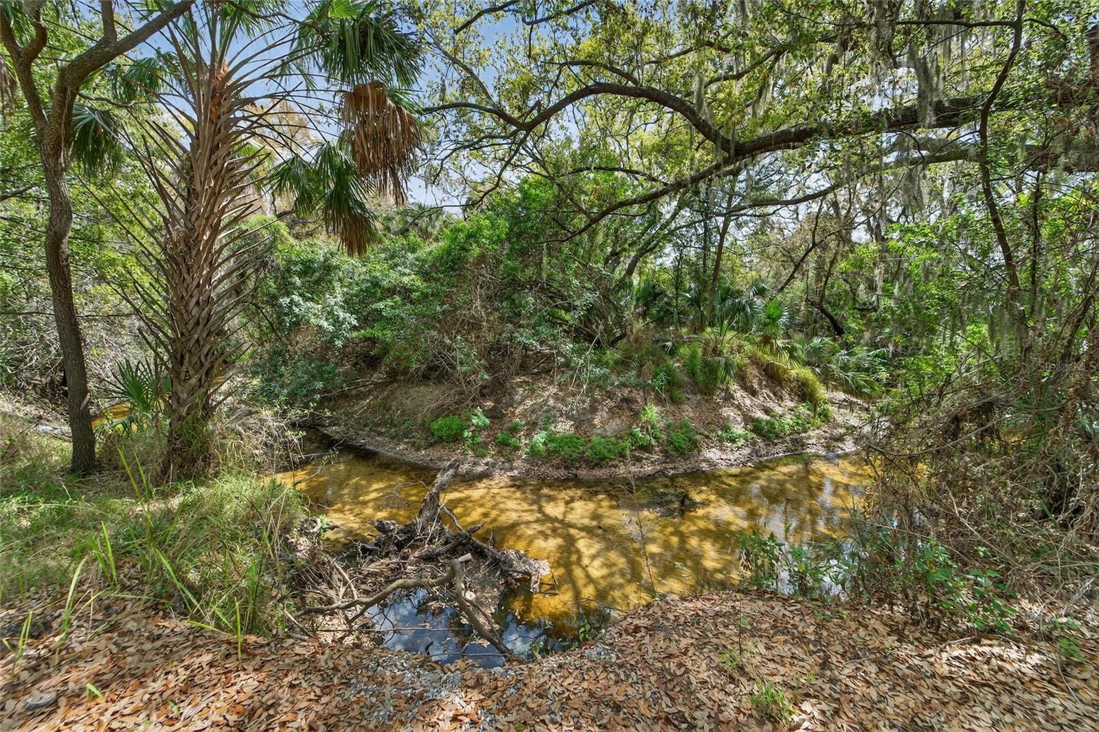 Image 66 of 90 For 9824 Hound Chase Drive