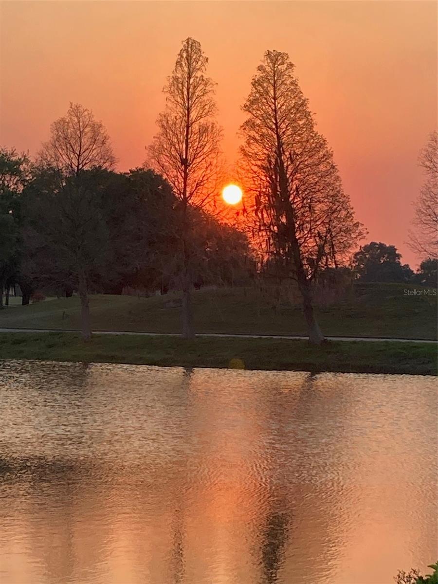 Image 3 of 47 For 915 Regal Manor Way