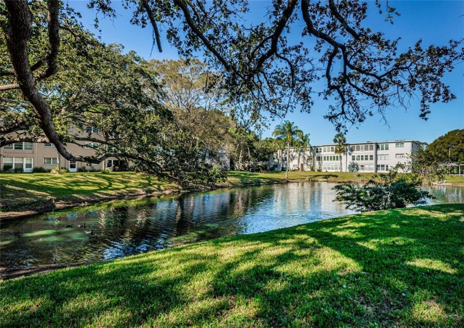 Image 17 of 64 For 946 Virginia Street 104- J