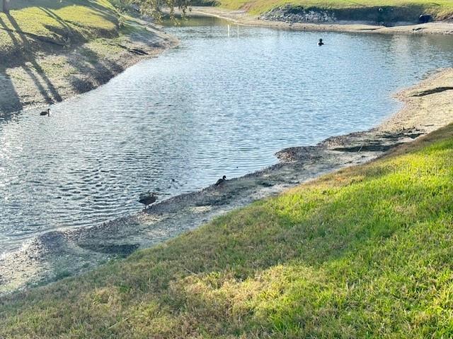 Image 26 of 64 For 946 Virginia Street 104- J