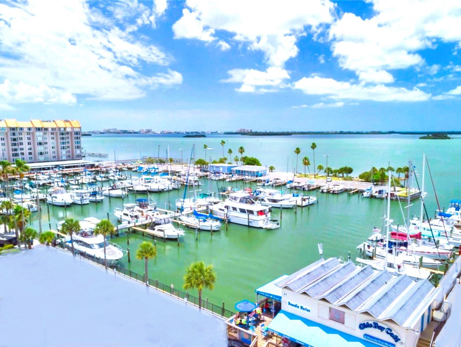 Image 40 of 64 For 946 Virginia Street 104- J