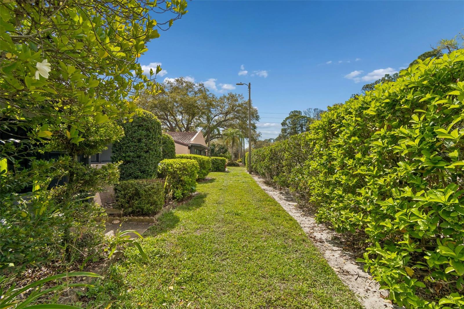 Image 25 of 25 For 9785 86th Avenue 9785