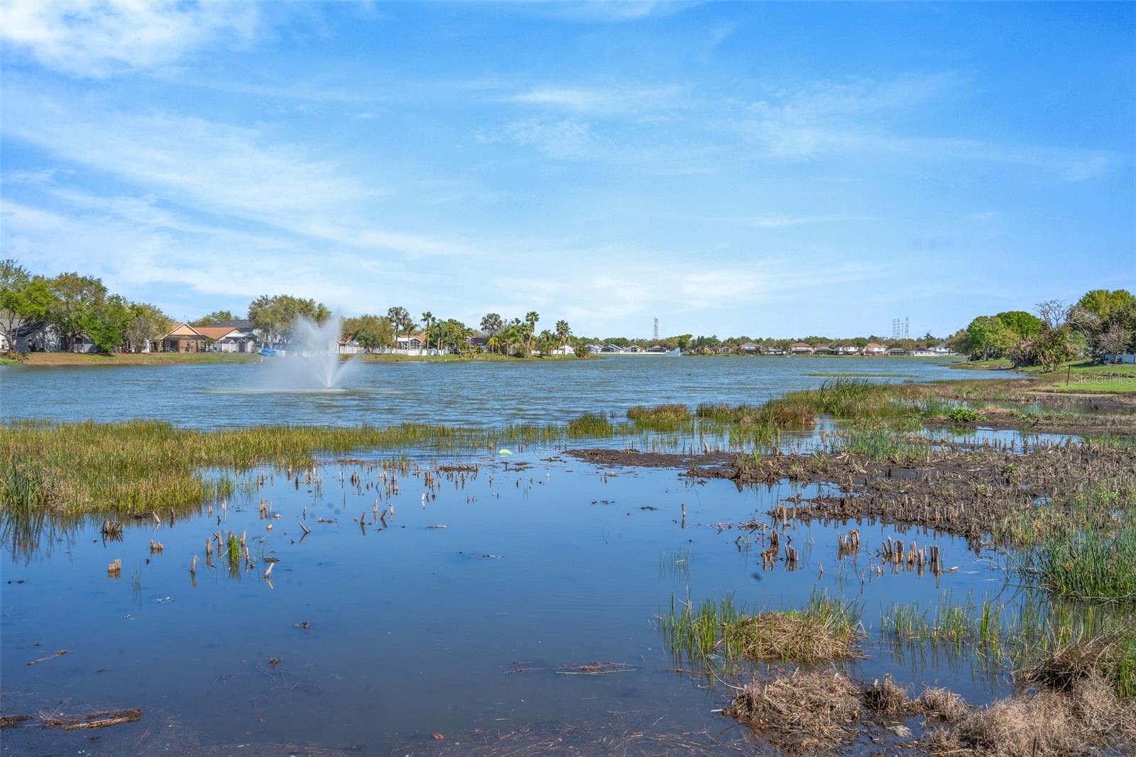 Image 31 of 33 For 6765 Lake Rochester Lane