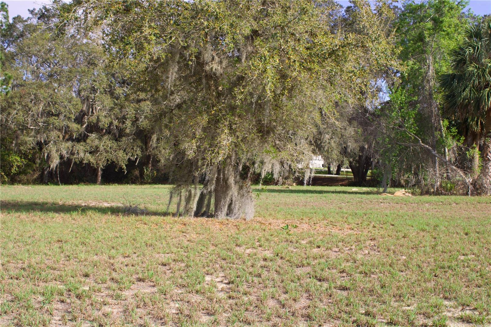 Image 10 of 41 For Silent Ridge Drive 47