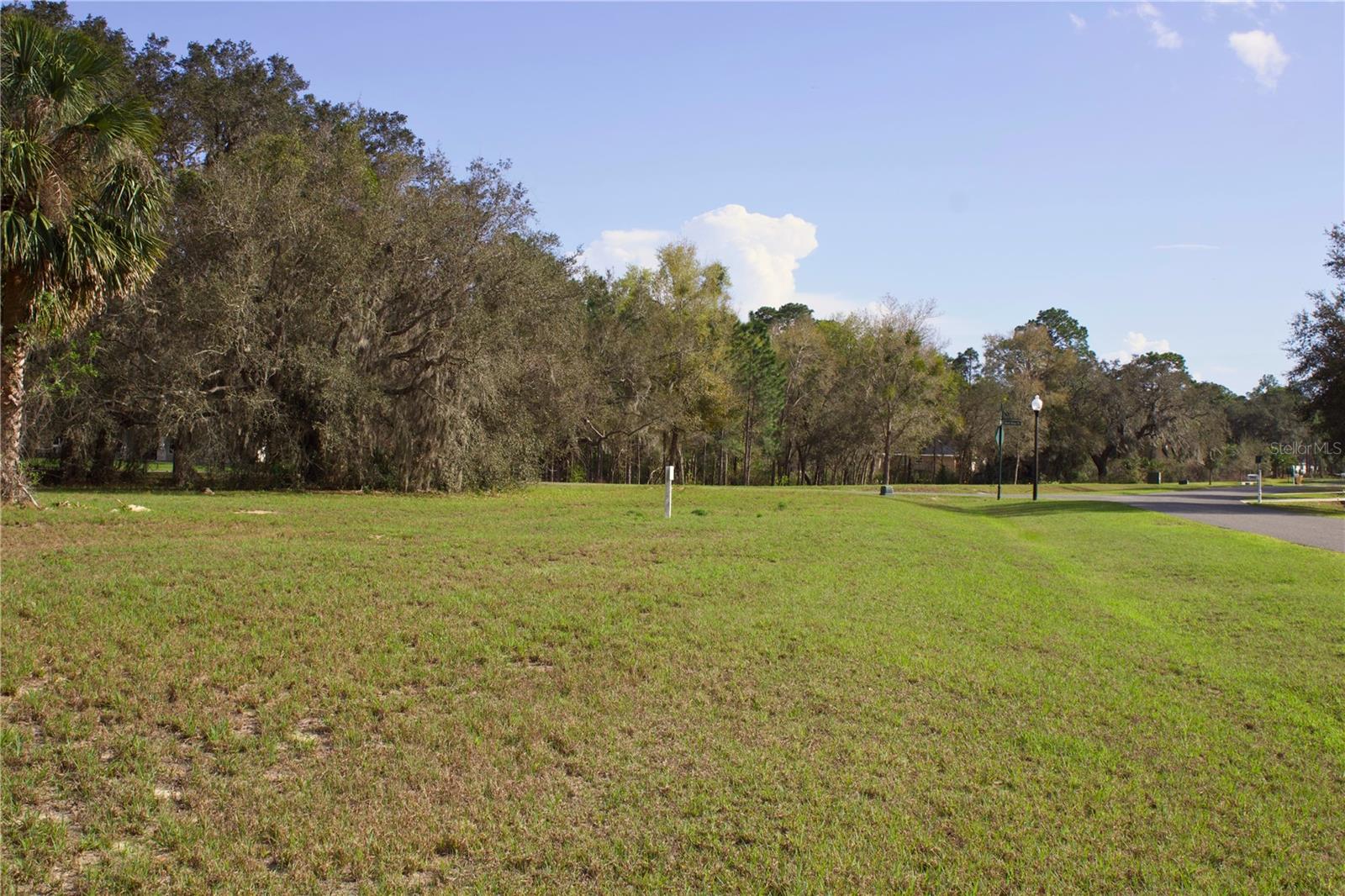 Image 12 of 41 For Silent Ridge Drive 47