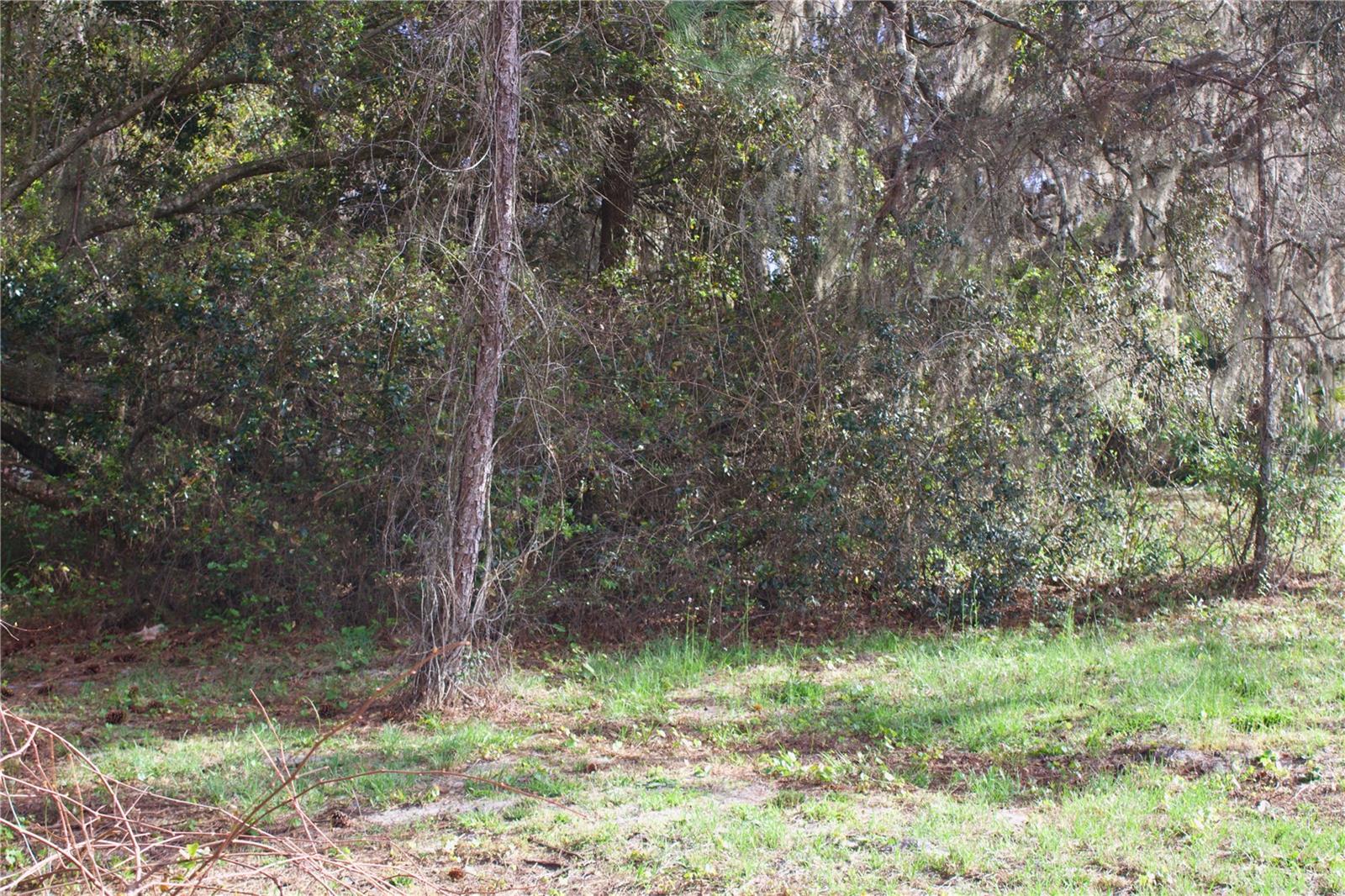 Image 20 of 41 For Silent Ridge Drive 47