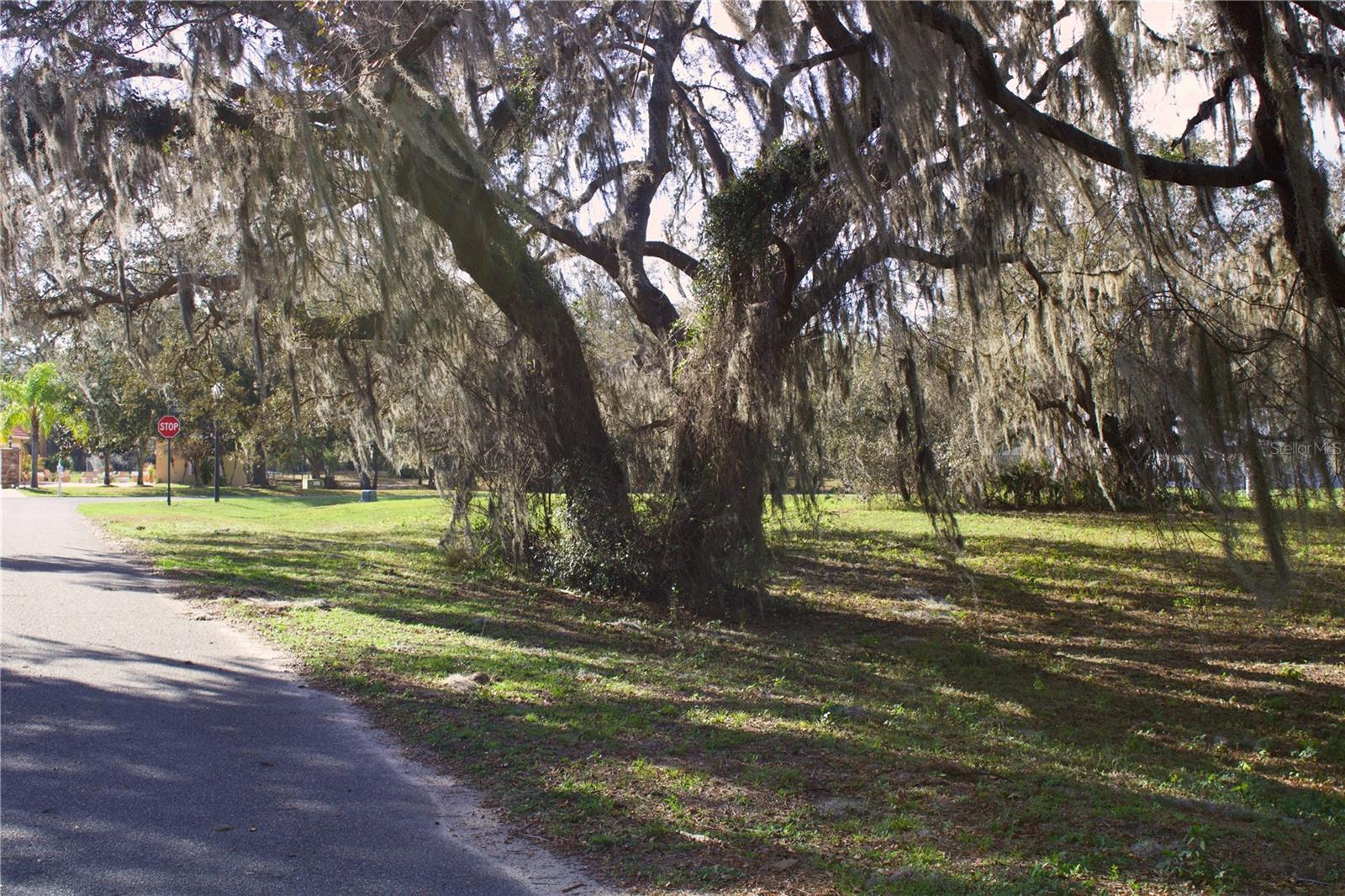 Image 21 of 41 For Silent Ridge Drive 47