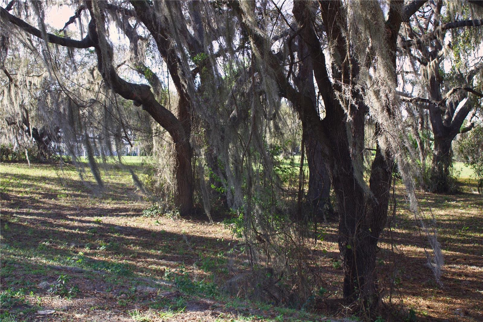 Image 22 of 41 For Silent Ridge Drive 47