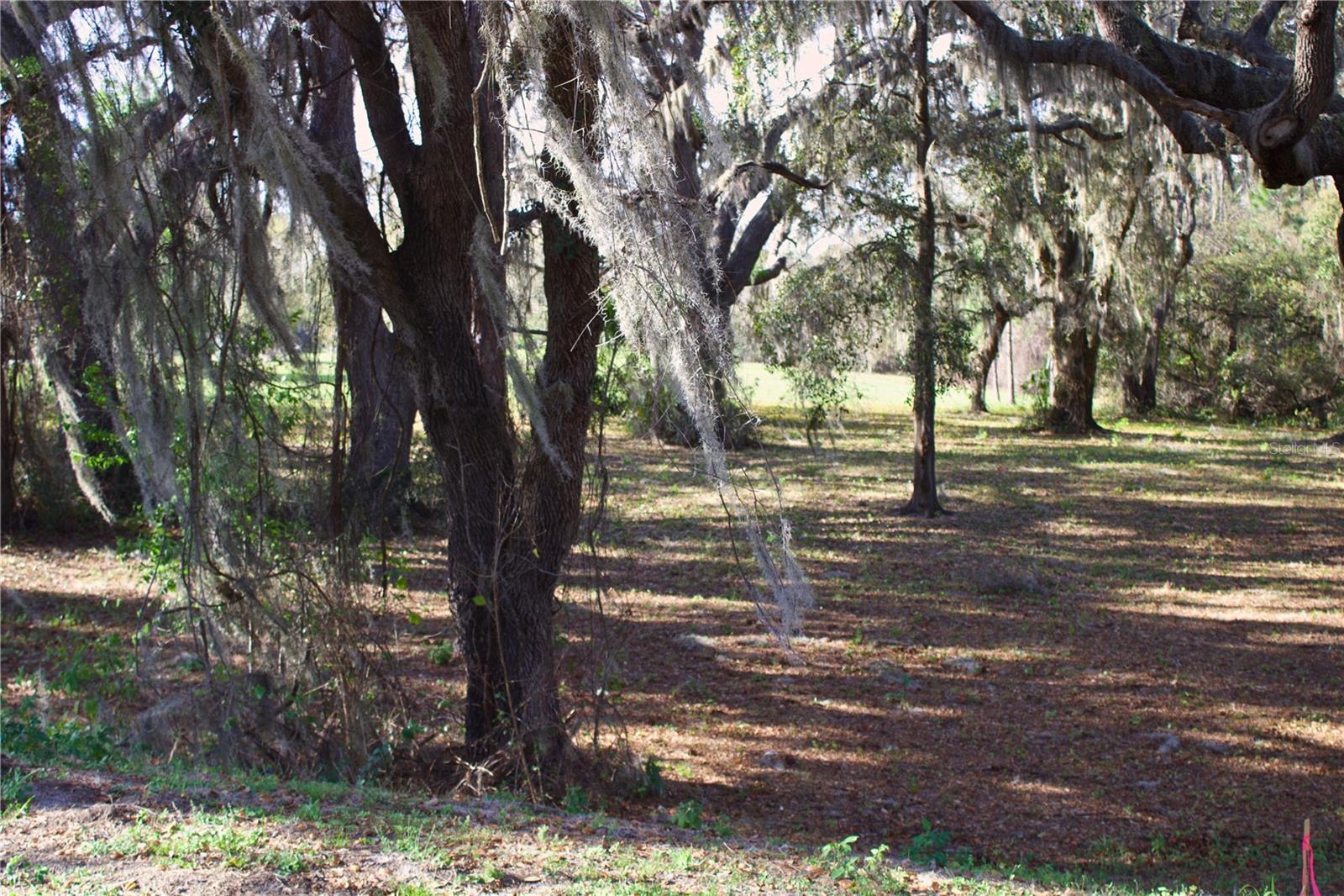 Image 23 of 41 For Silent Ridge Drive 47