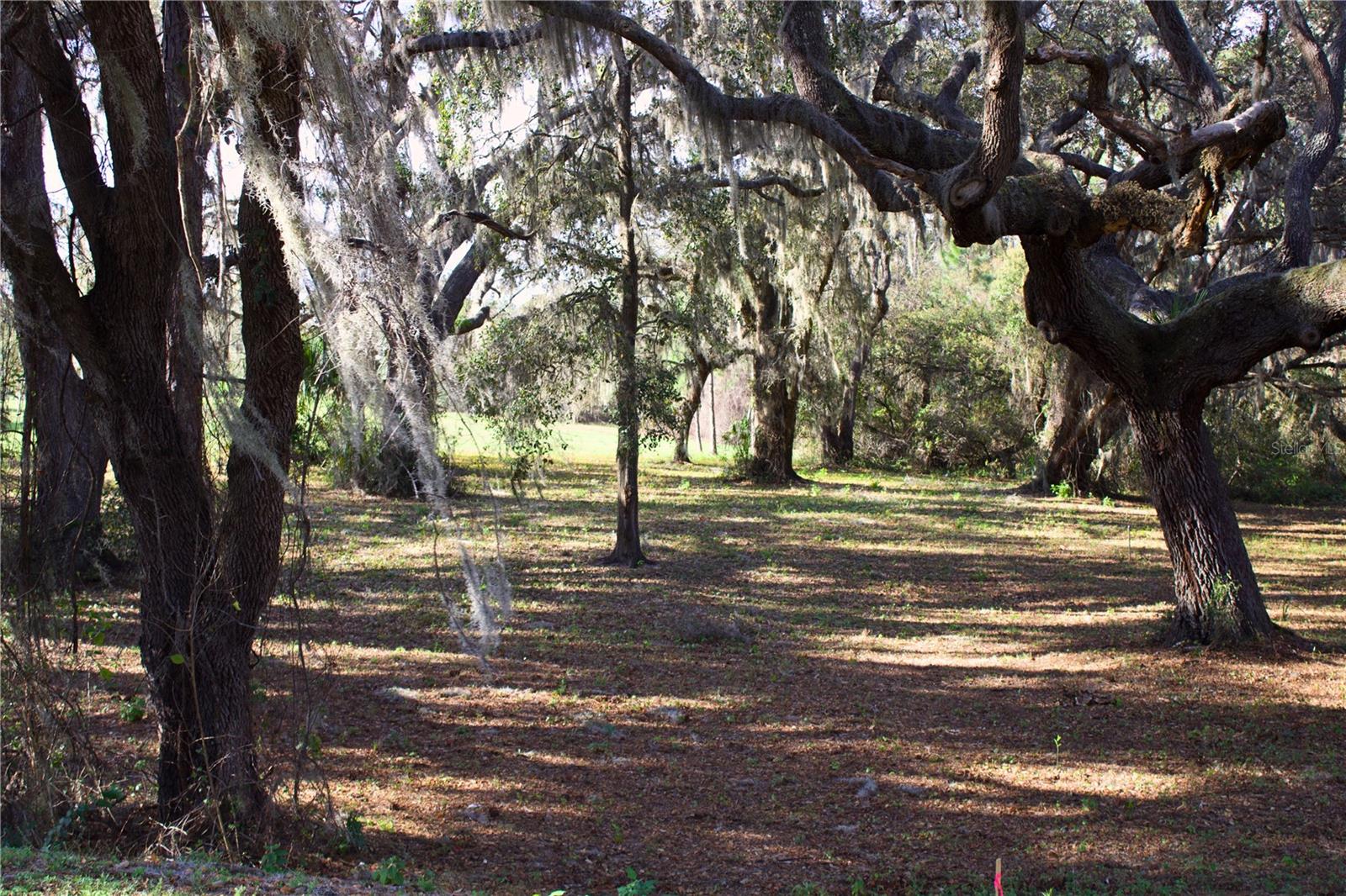 Image 24 of 41 For Silent Ridge Drive 47