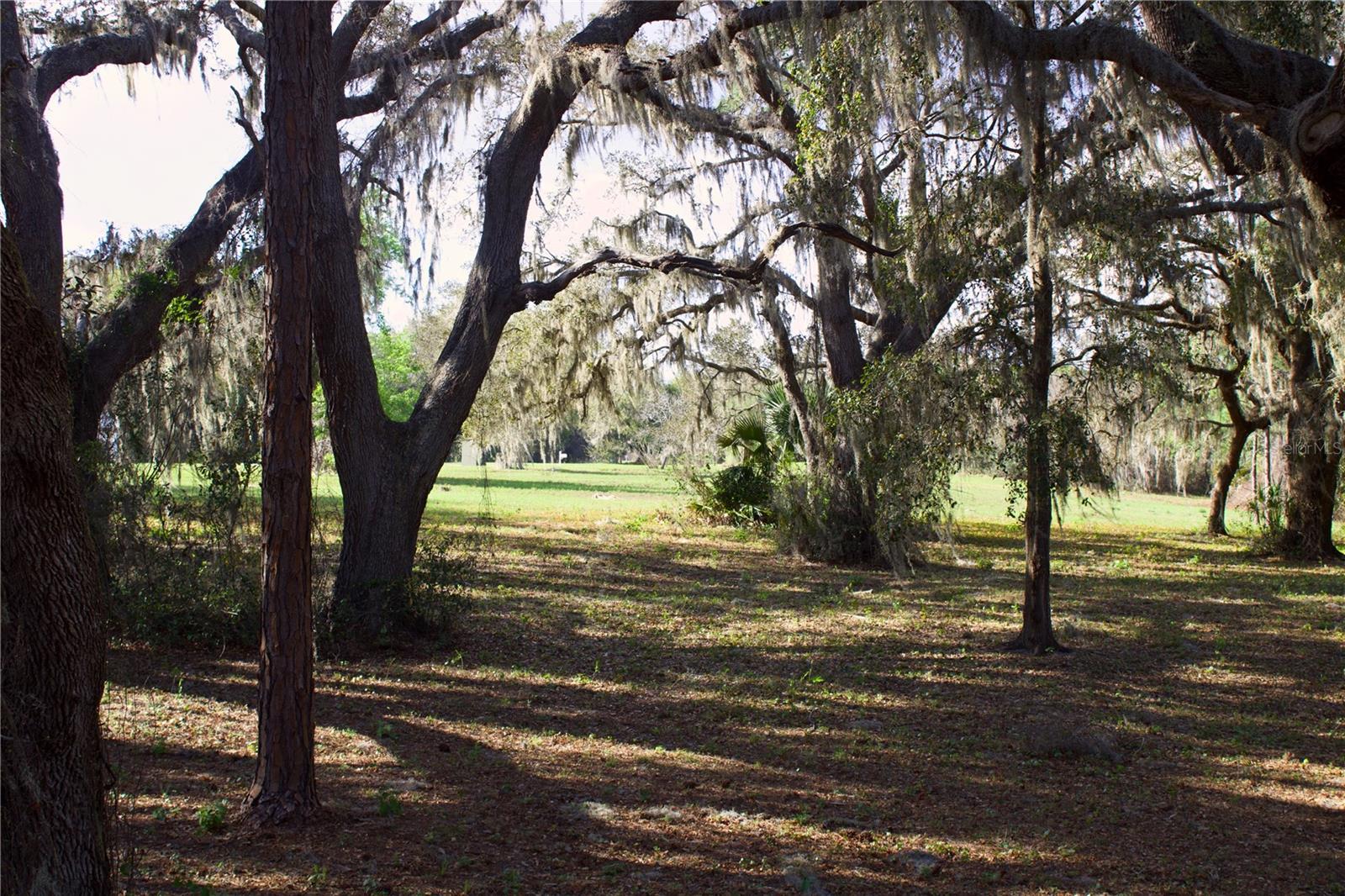 Image 25 of 41 For Silent Ridge Drive 47