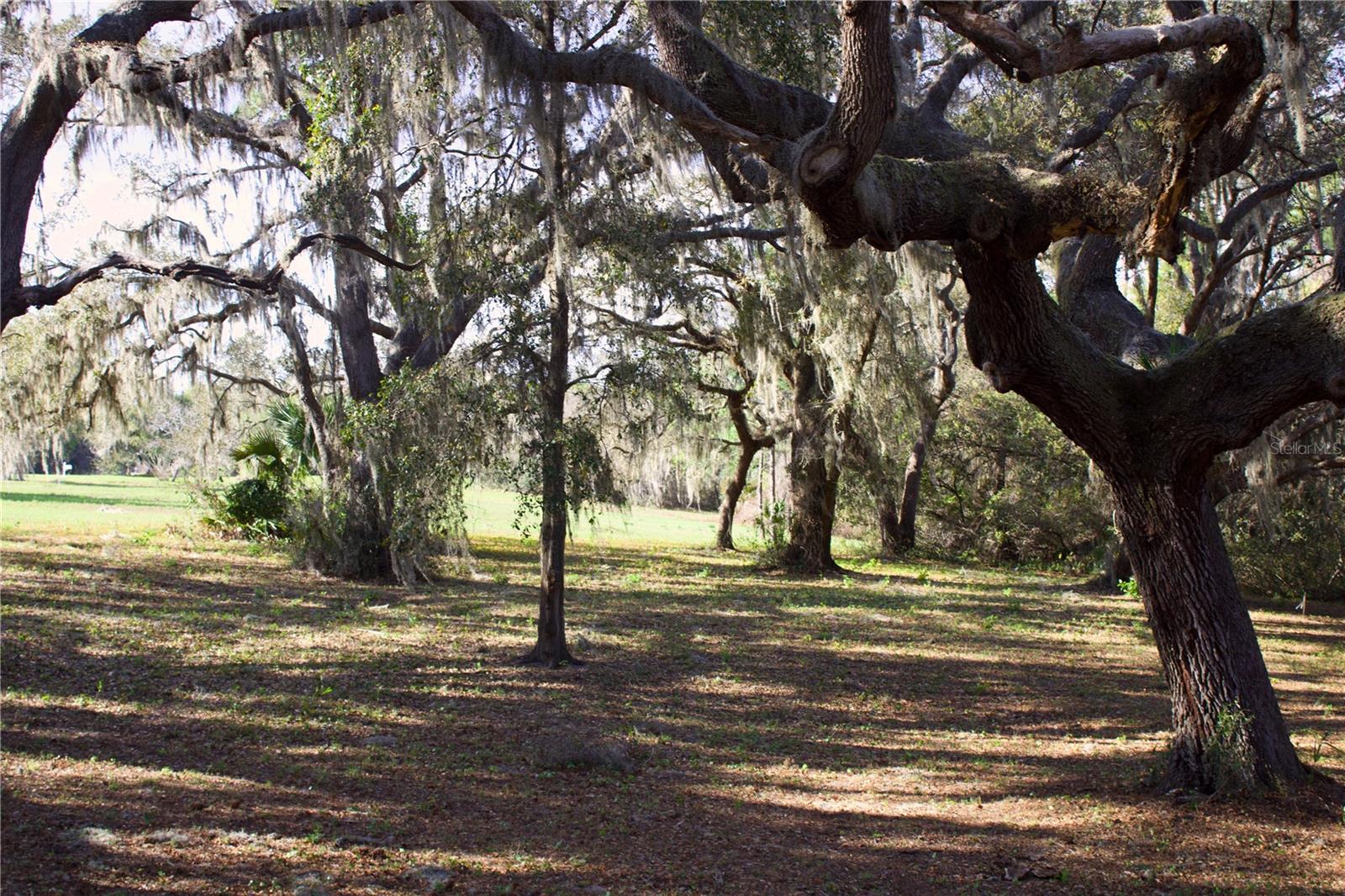 Image 26 of 41 For Silent Ridge Drive 47