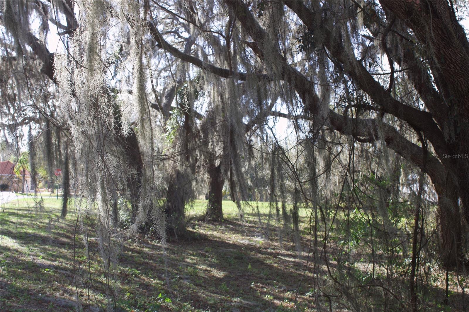 Image 27 of 41 For Silent Ridge Drive 47