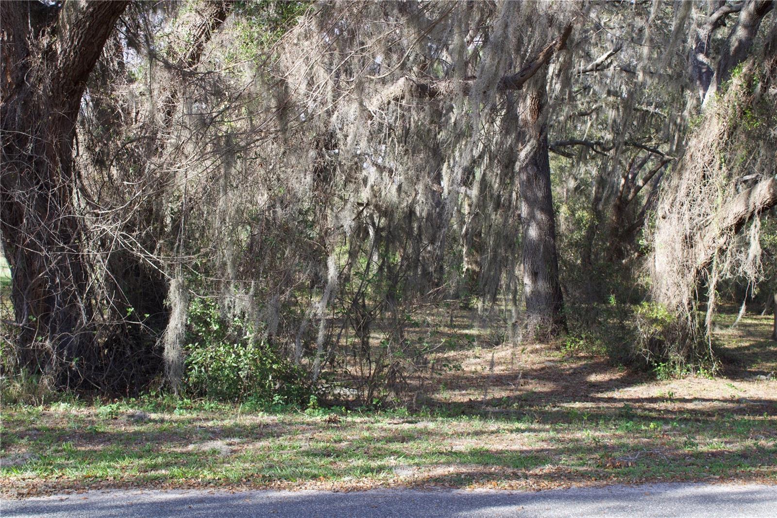 Image 28 of 41 For Silent Ridge Drive 47