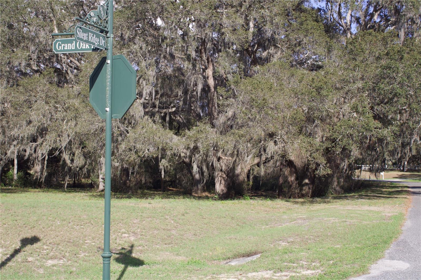 Image 29 of 41 For Silent Ridge Drive 47