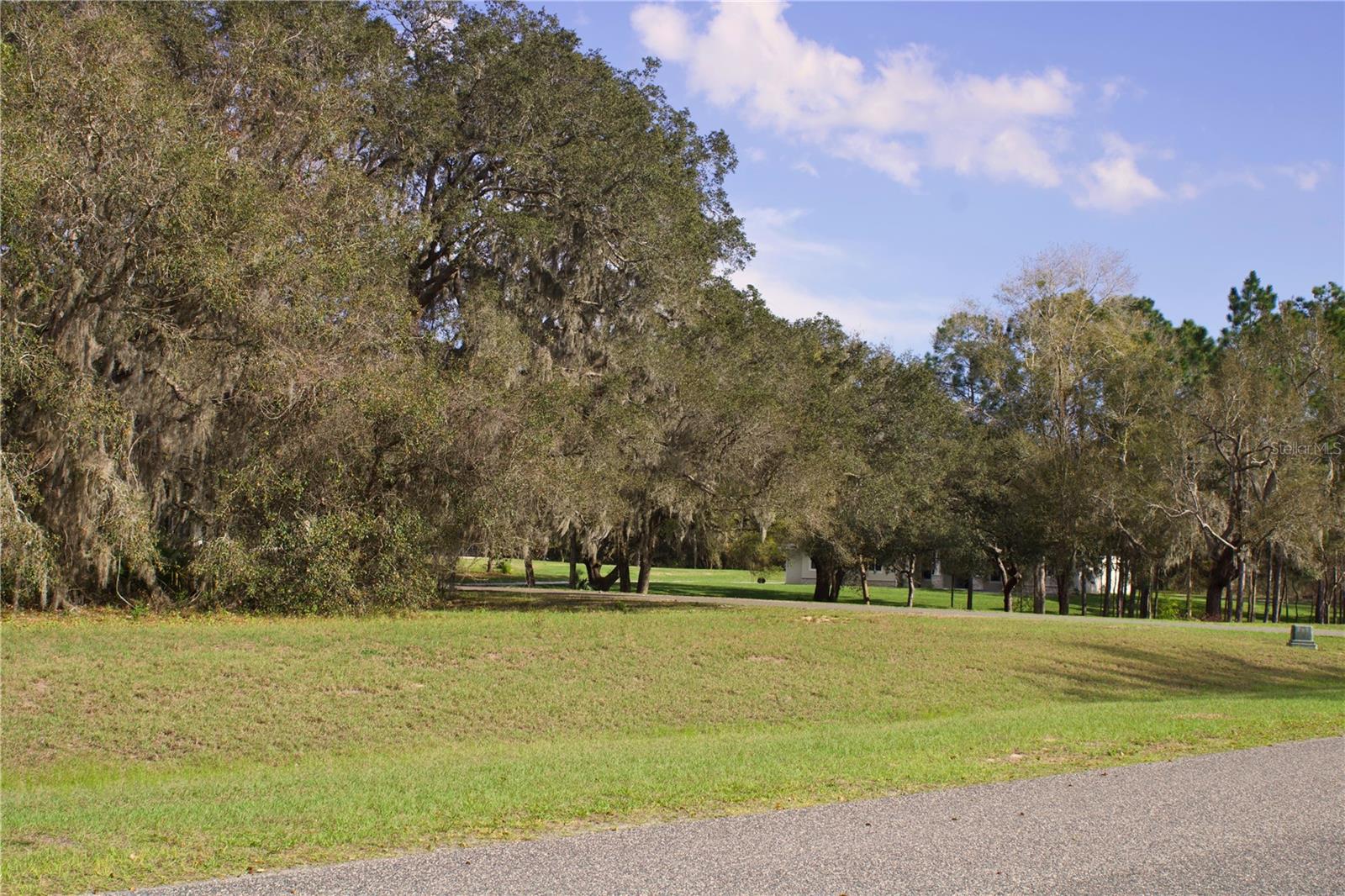 Image 4 of 41 For Silent Ridge Drive 47