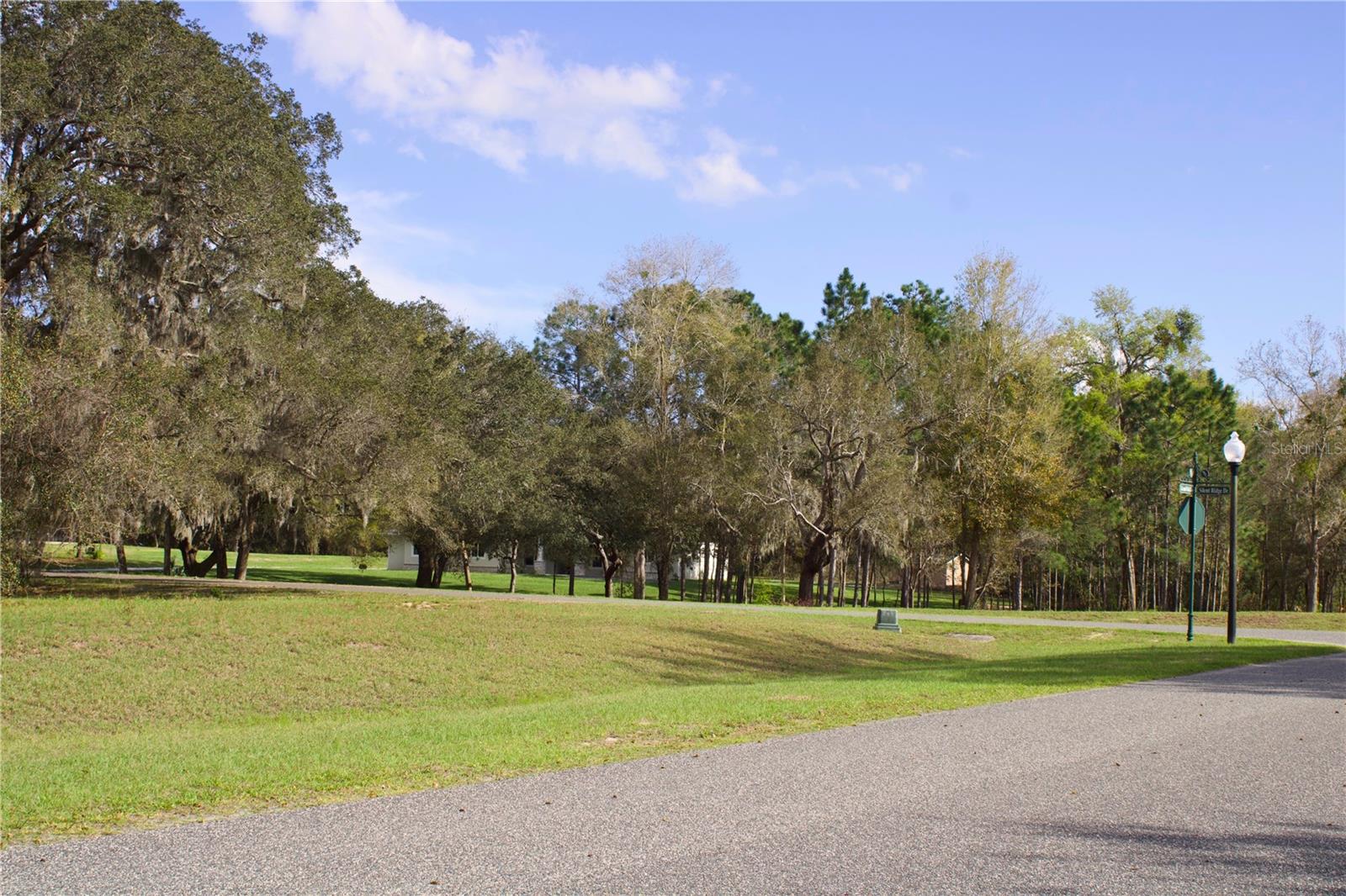 Image 5 of 41 For Silent Ridge Drive 47