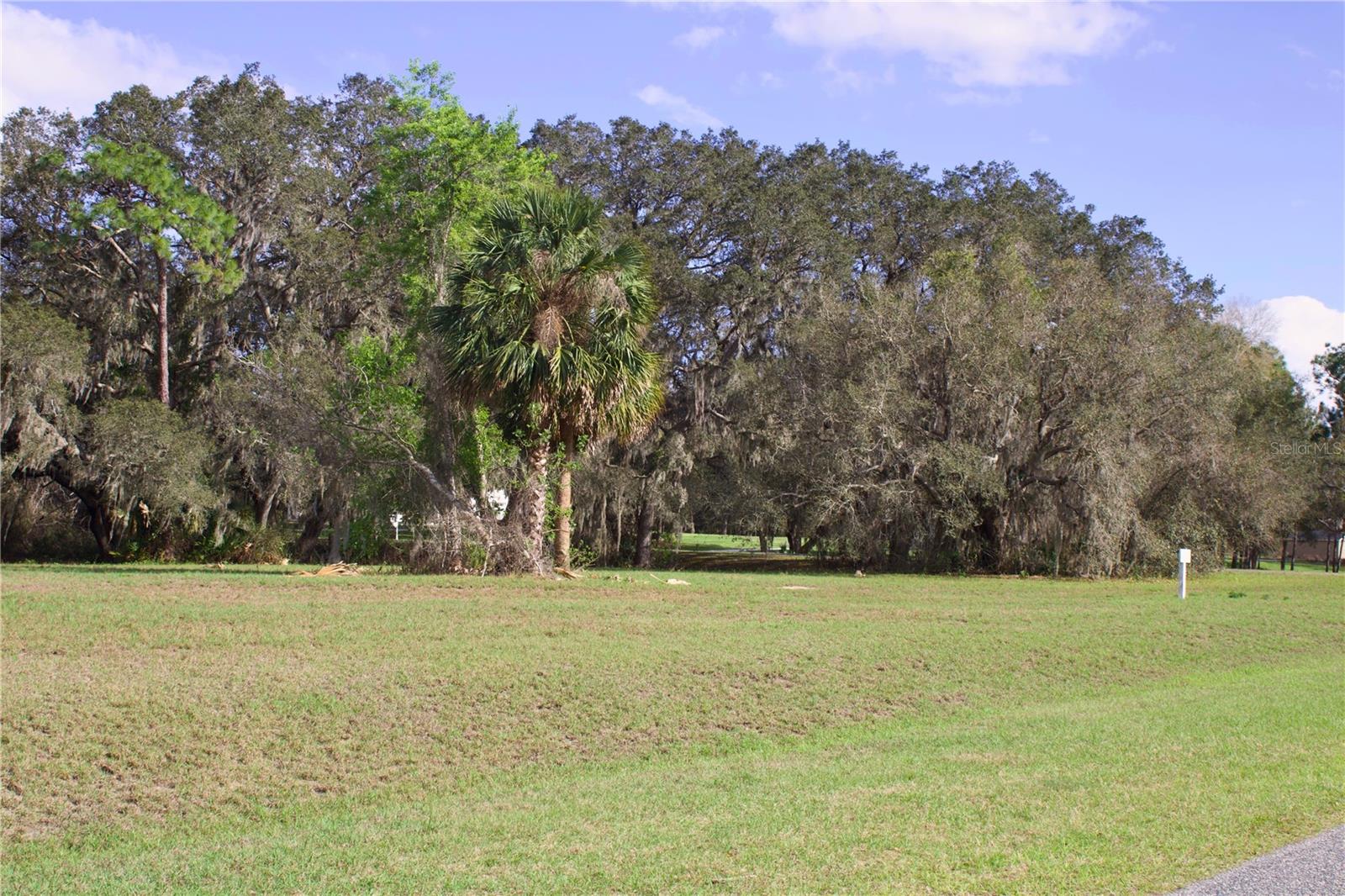 Image 8 of 41 For Silent Ridge Drive 47