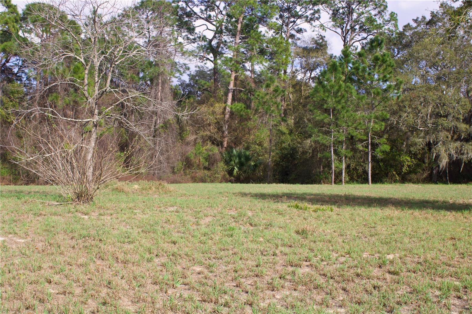 Image 9 of 41 For Silent Ridge Drive 47