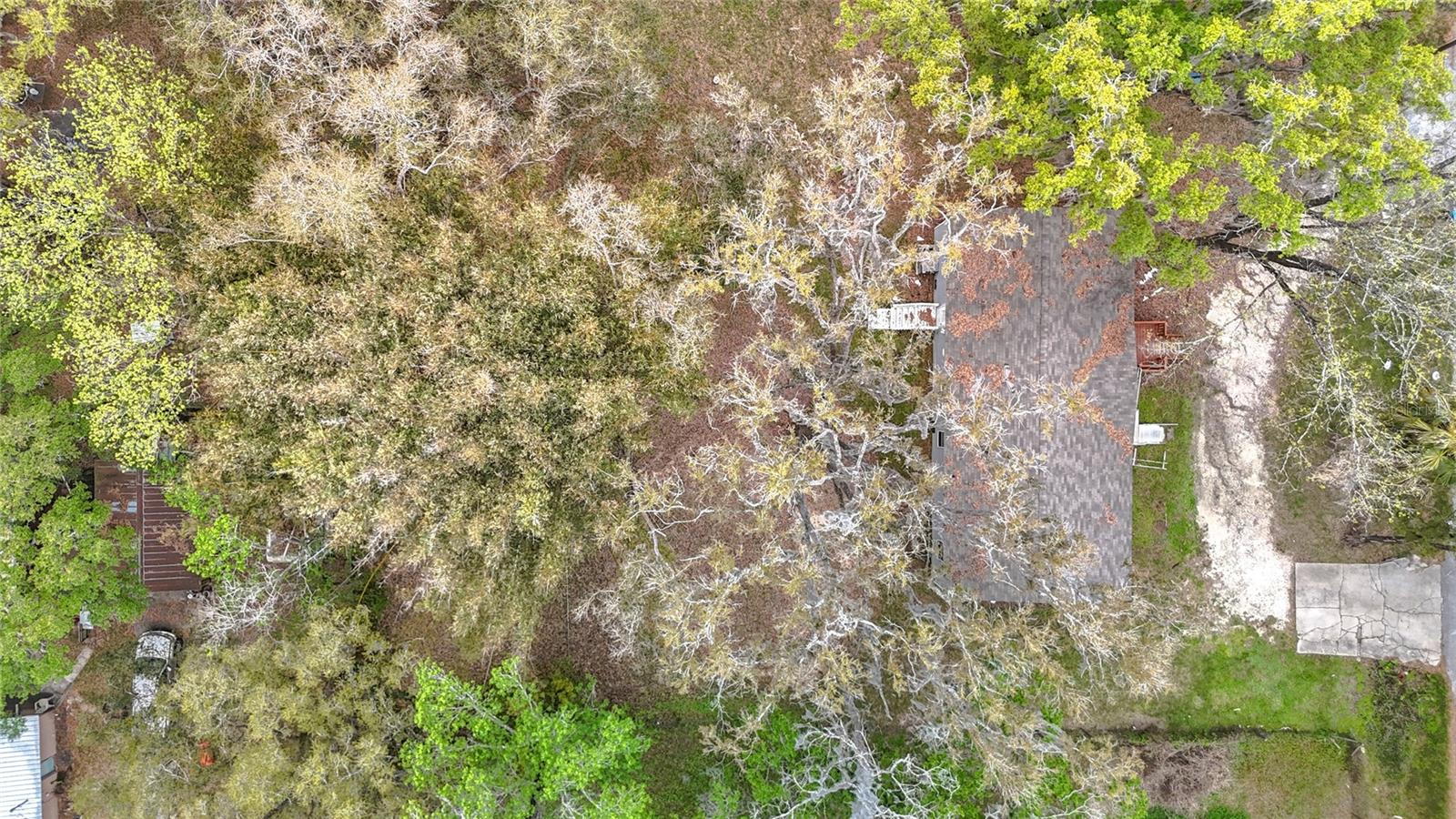 Image 44 of 45 For 7158 Sunnyside Drive