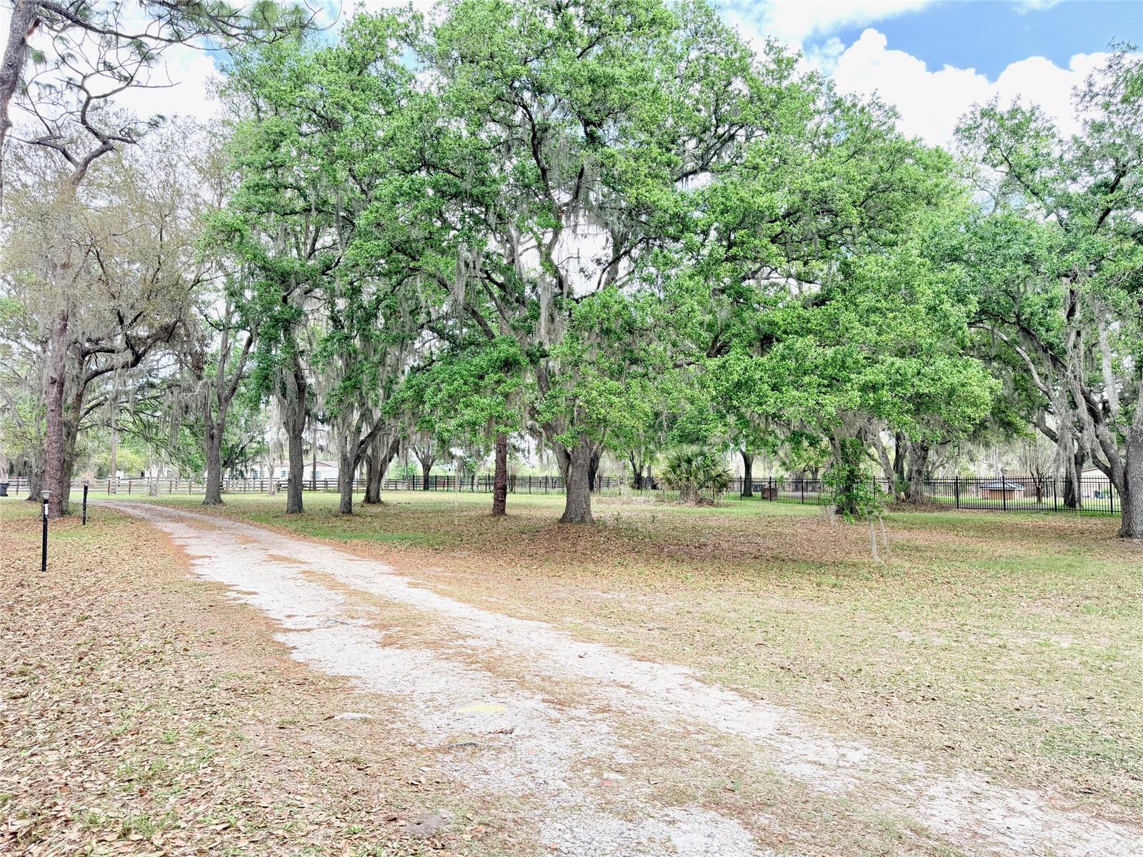 Image 12 of 54 For 7001 Dormany Road