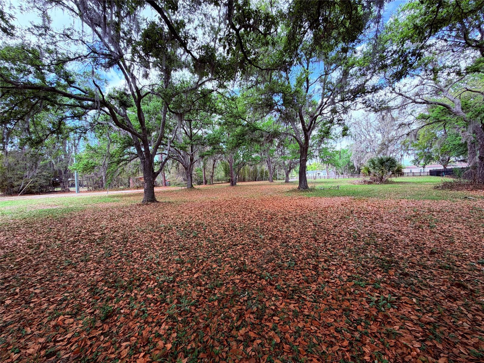 Image 16 of 54 For 7001 Dormany Road