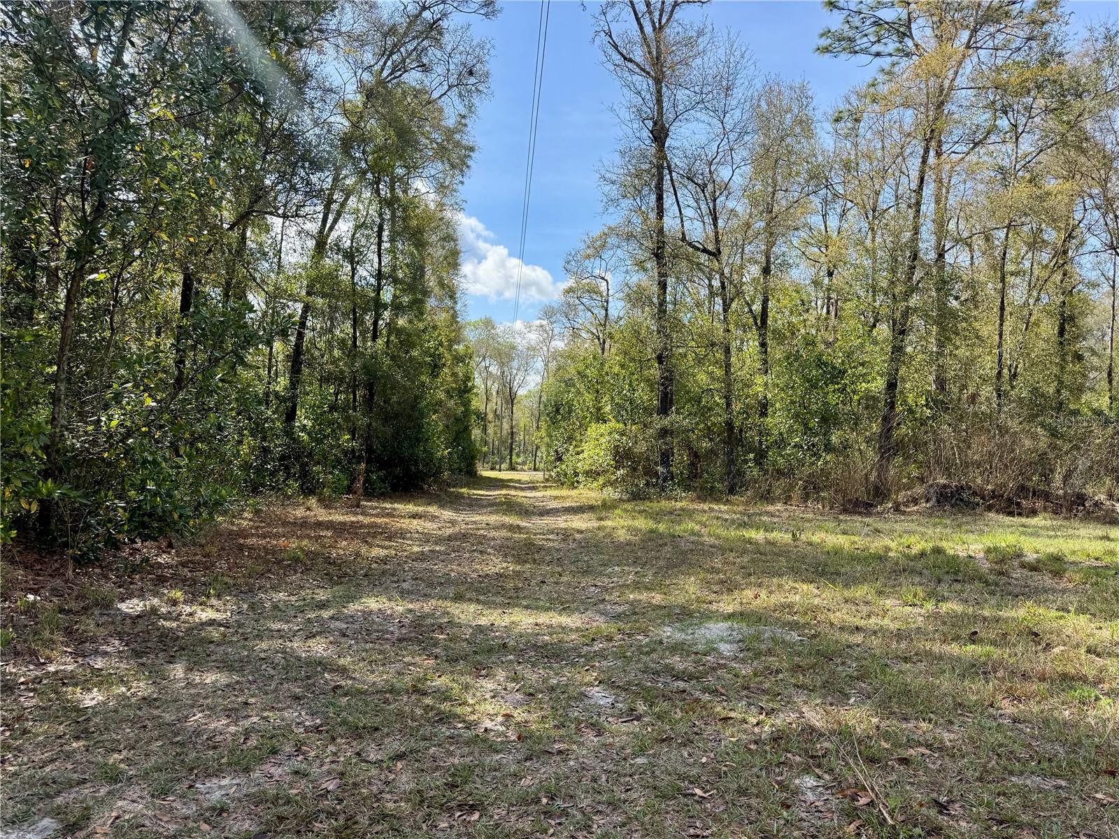 Image 15 of 45 For 4317 284th Street