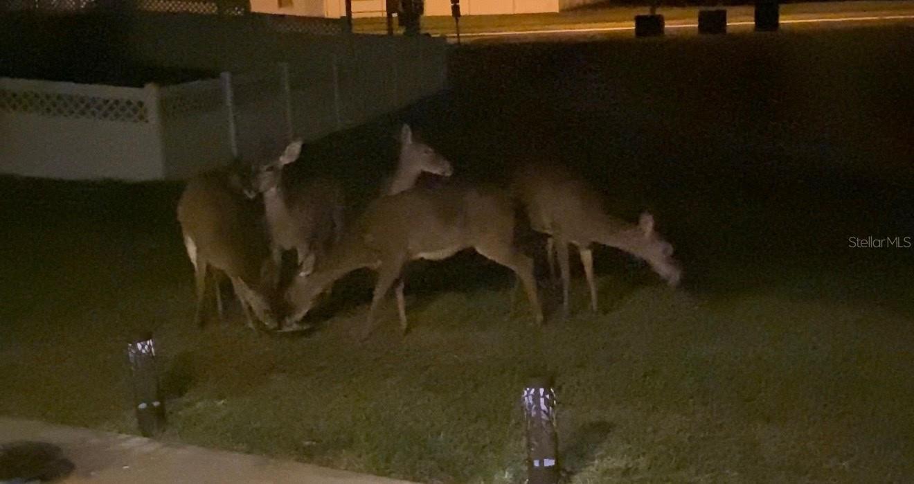 Image 71 of 71 For 25500 Geddy Drive