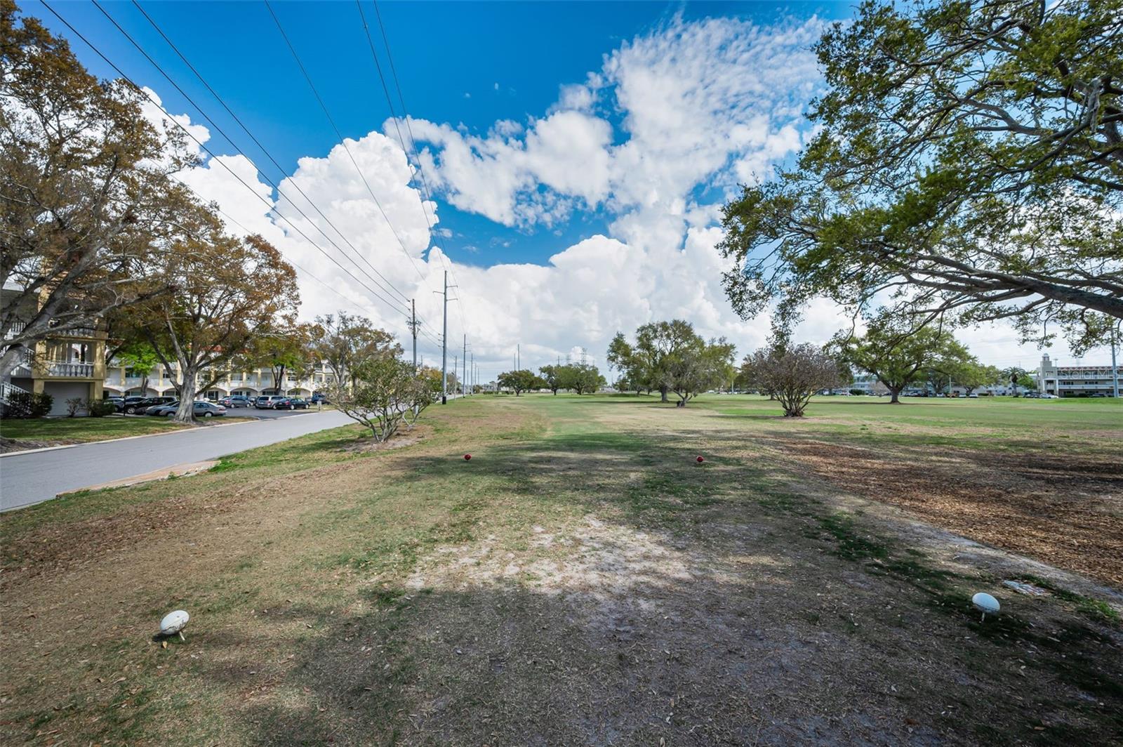 Image 55 of 100 For 2404 Florentine Way 20