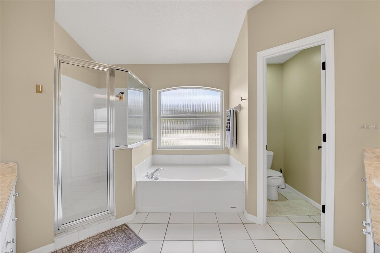 Image 19 of 62 For 702 Tuscanny Street