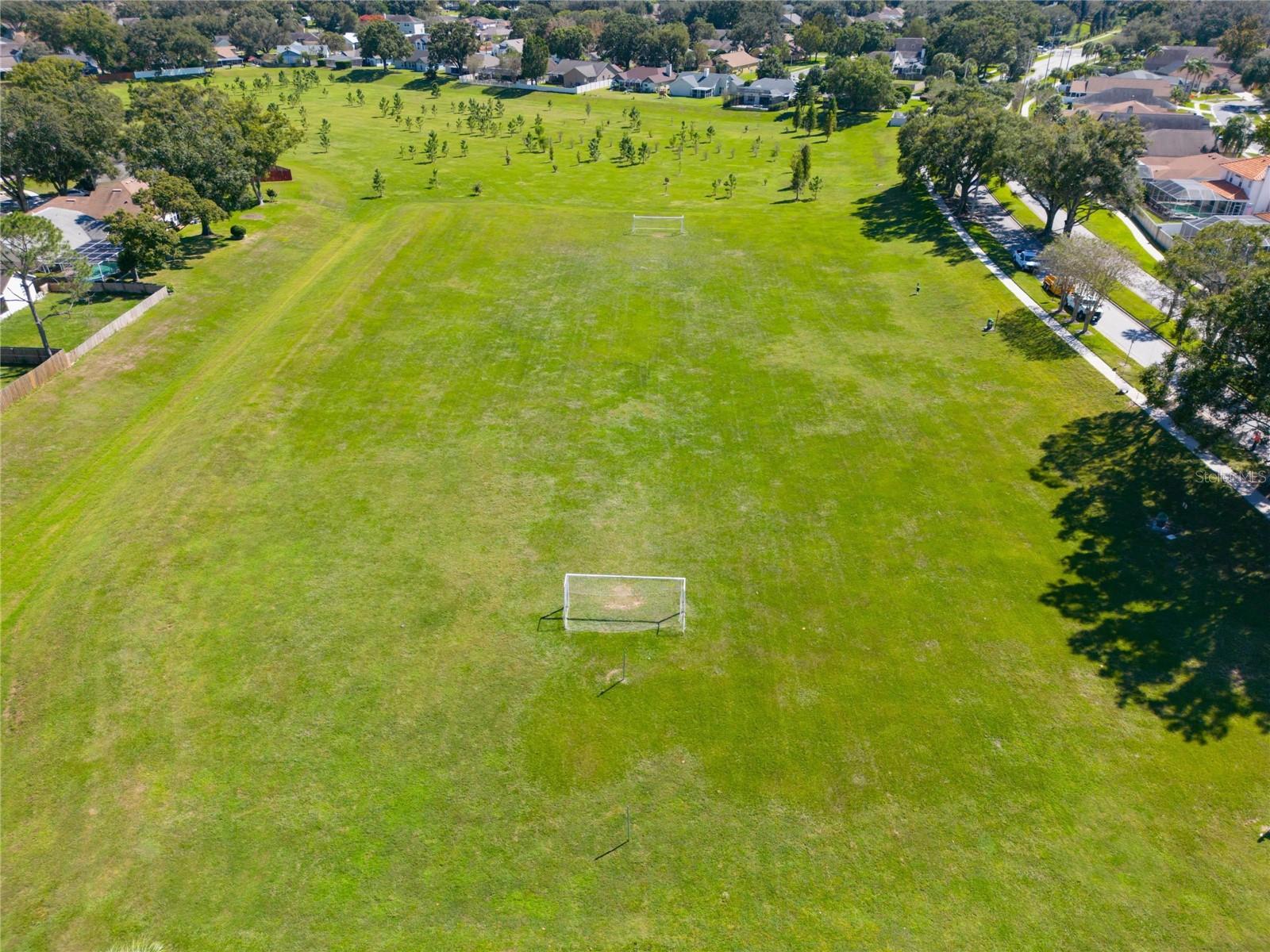 Image 59 of 62 For 702 Tuscanny Street