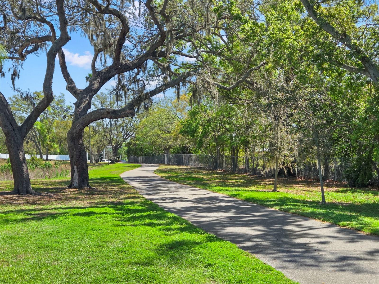 Image 50 of 52 For 2221 Terrace Drive N