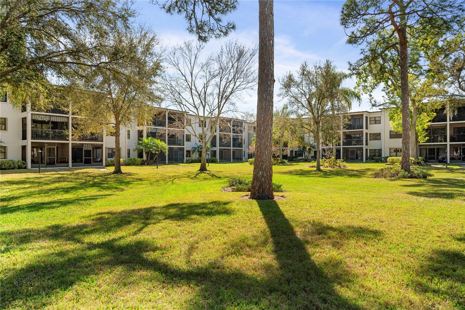 Image 3 of 48 For 4910 Bay Street Ne 311