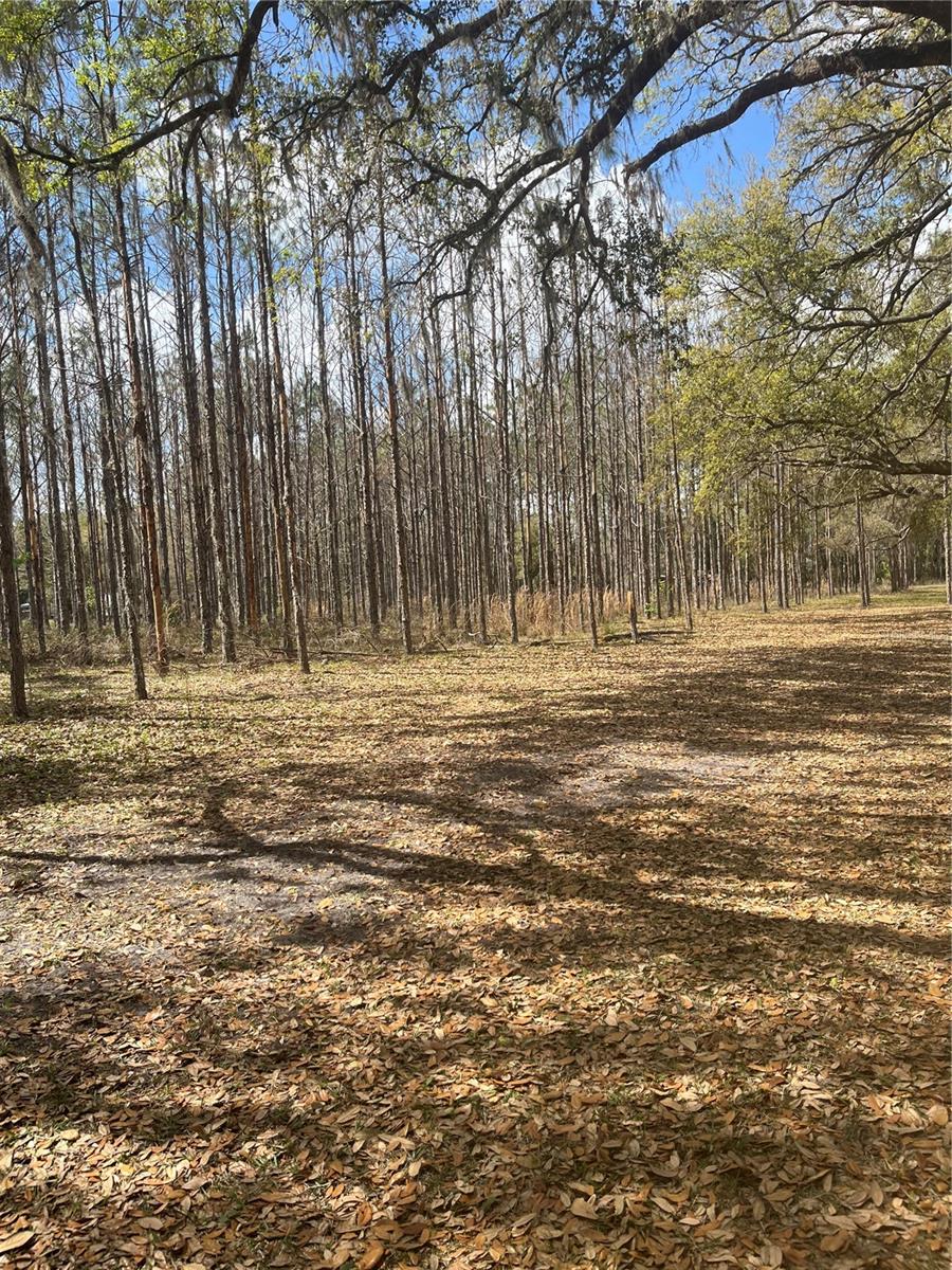 Image 12 of 17 For  Sr 471  