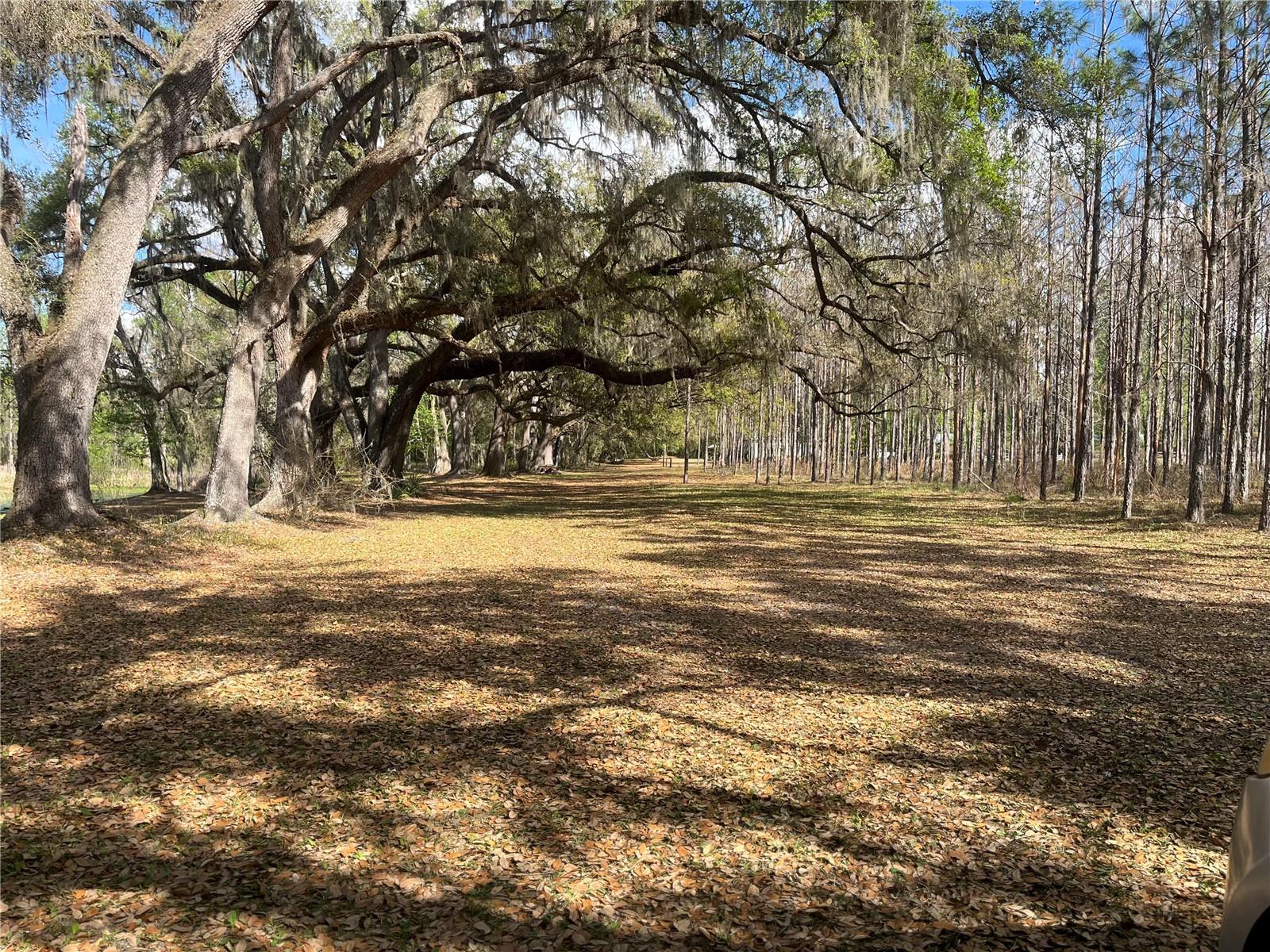 Image 2 of 17 For  Sr 471  