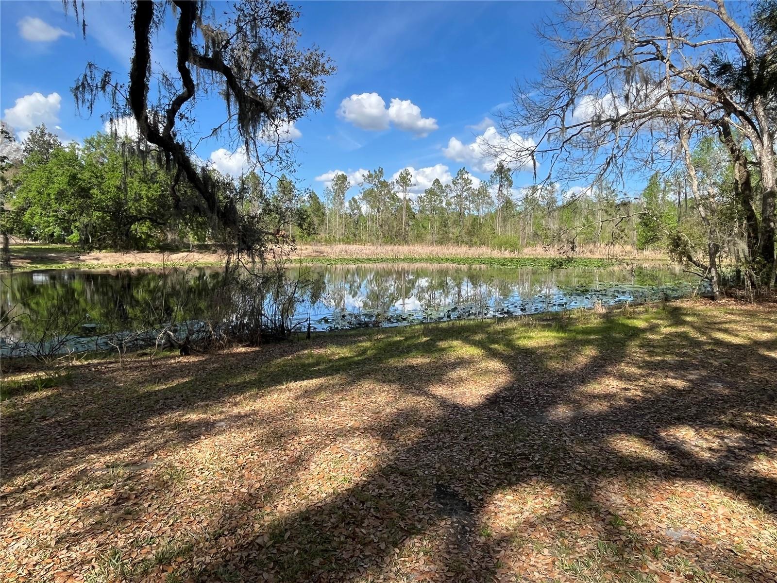 Image 3 of 17 For  Sr 471  