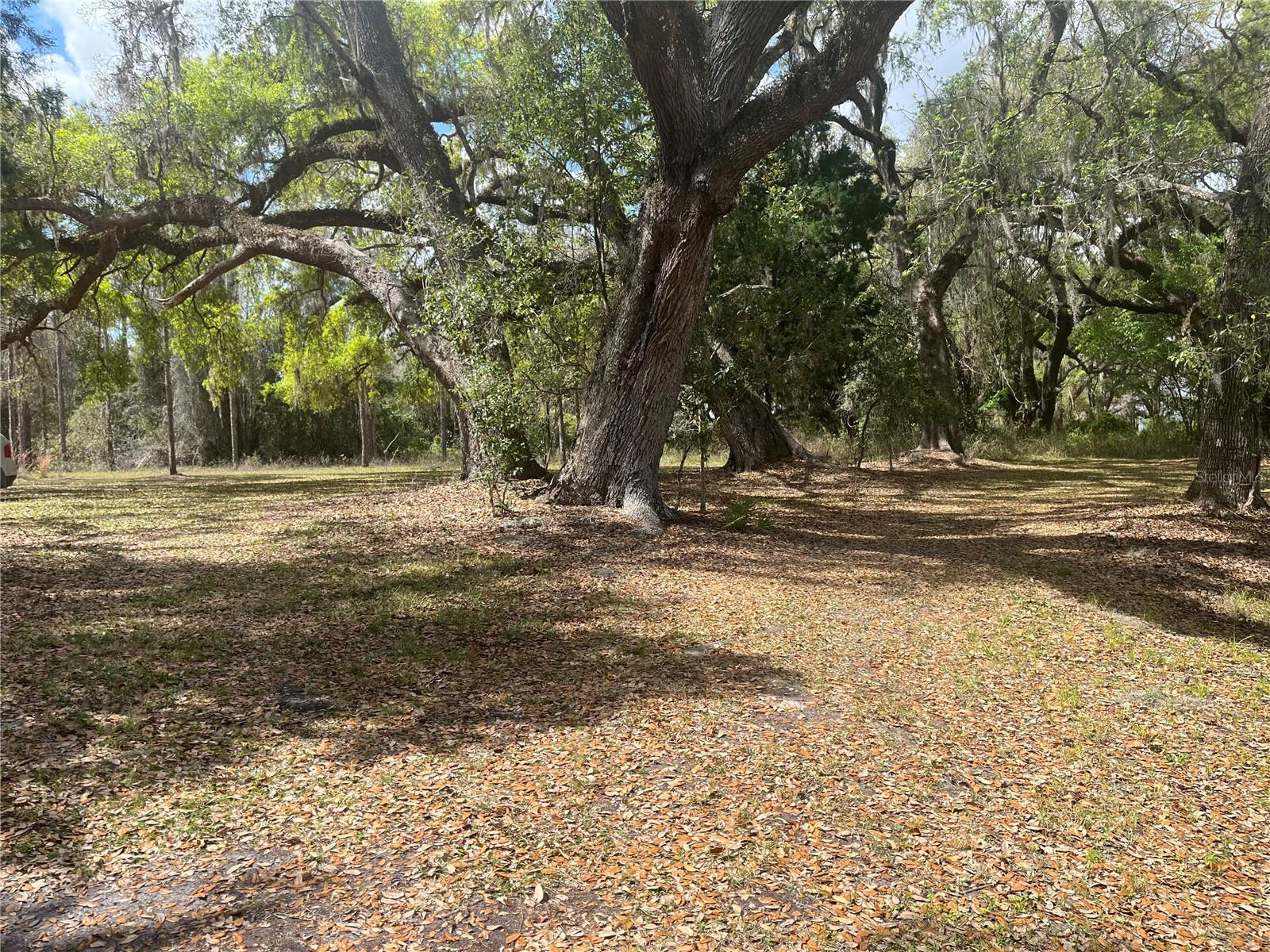 Image 8 of 17 For  Sr 471  