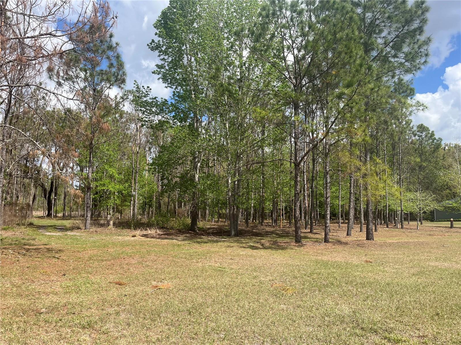 Image 9 of 17 For  Sr 471  