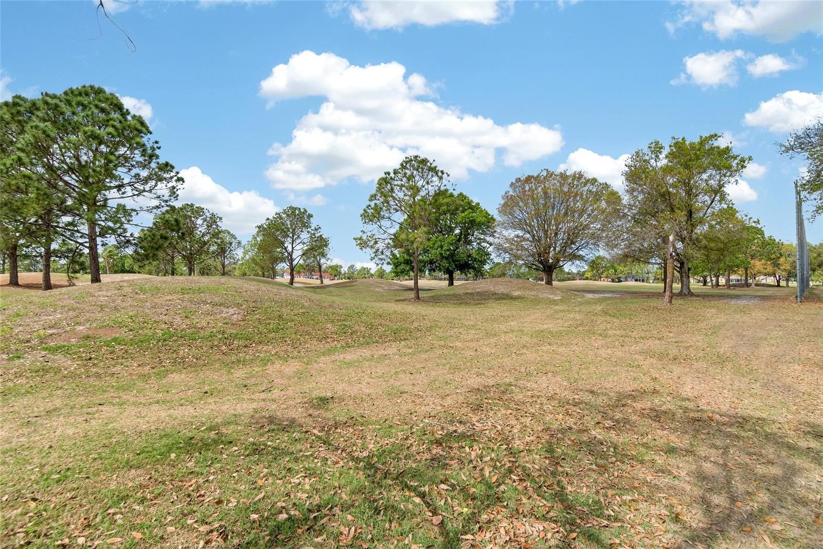 Image 29 of 100 For 12940 Prestwick Drive