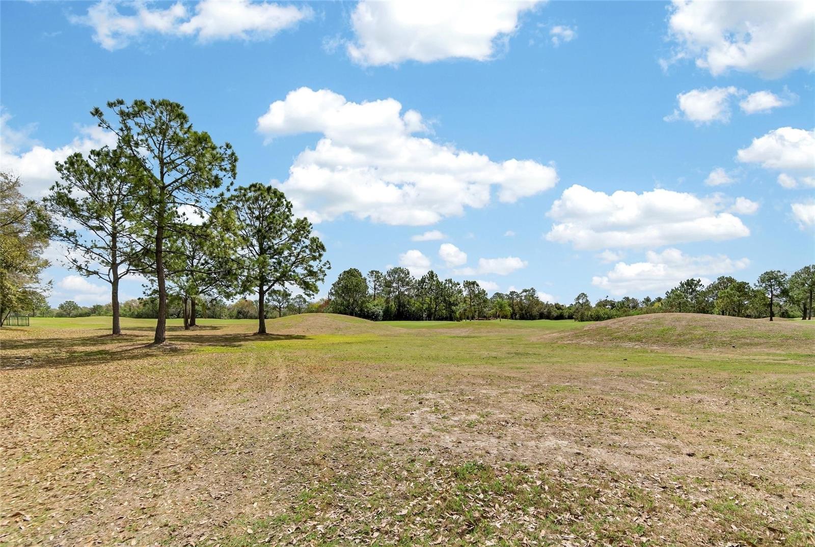 Image 30 of 100 For 12940 Prestwick Drive