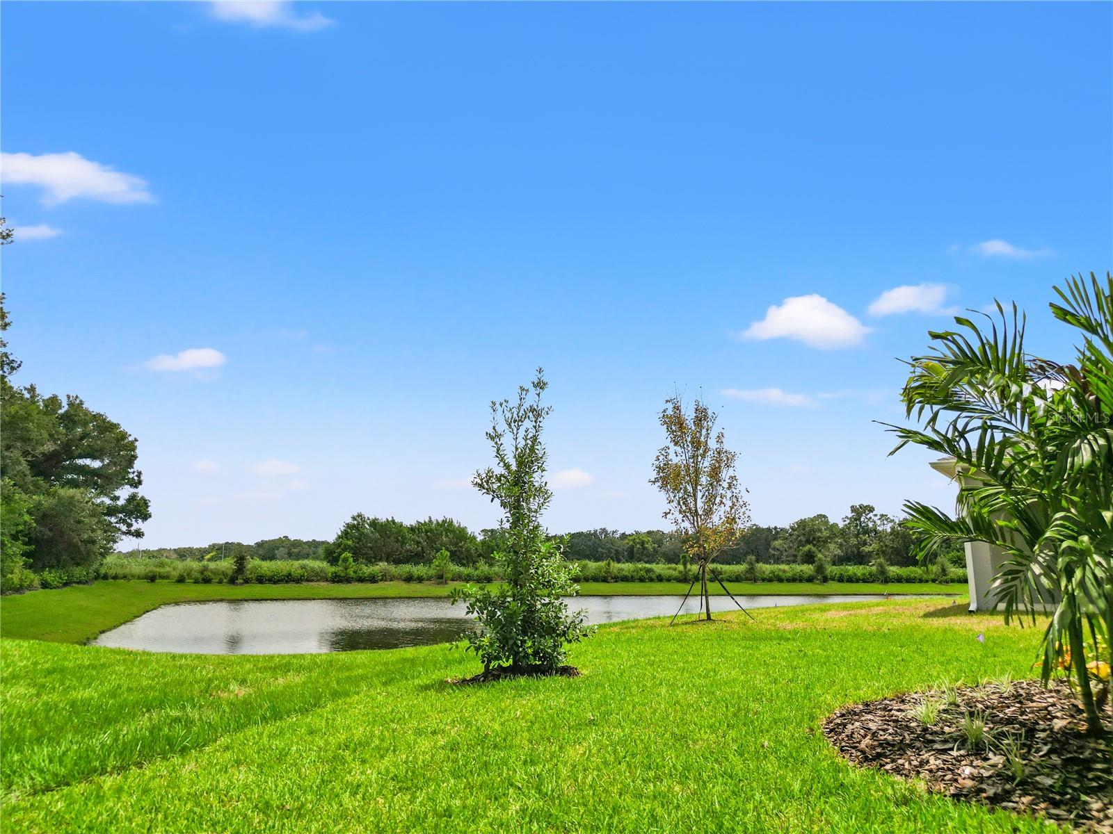 Image 38 of 43 For 11908 Richmond Trail