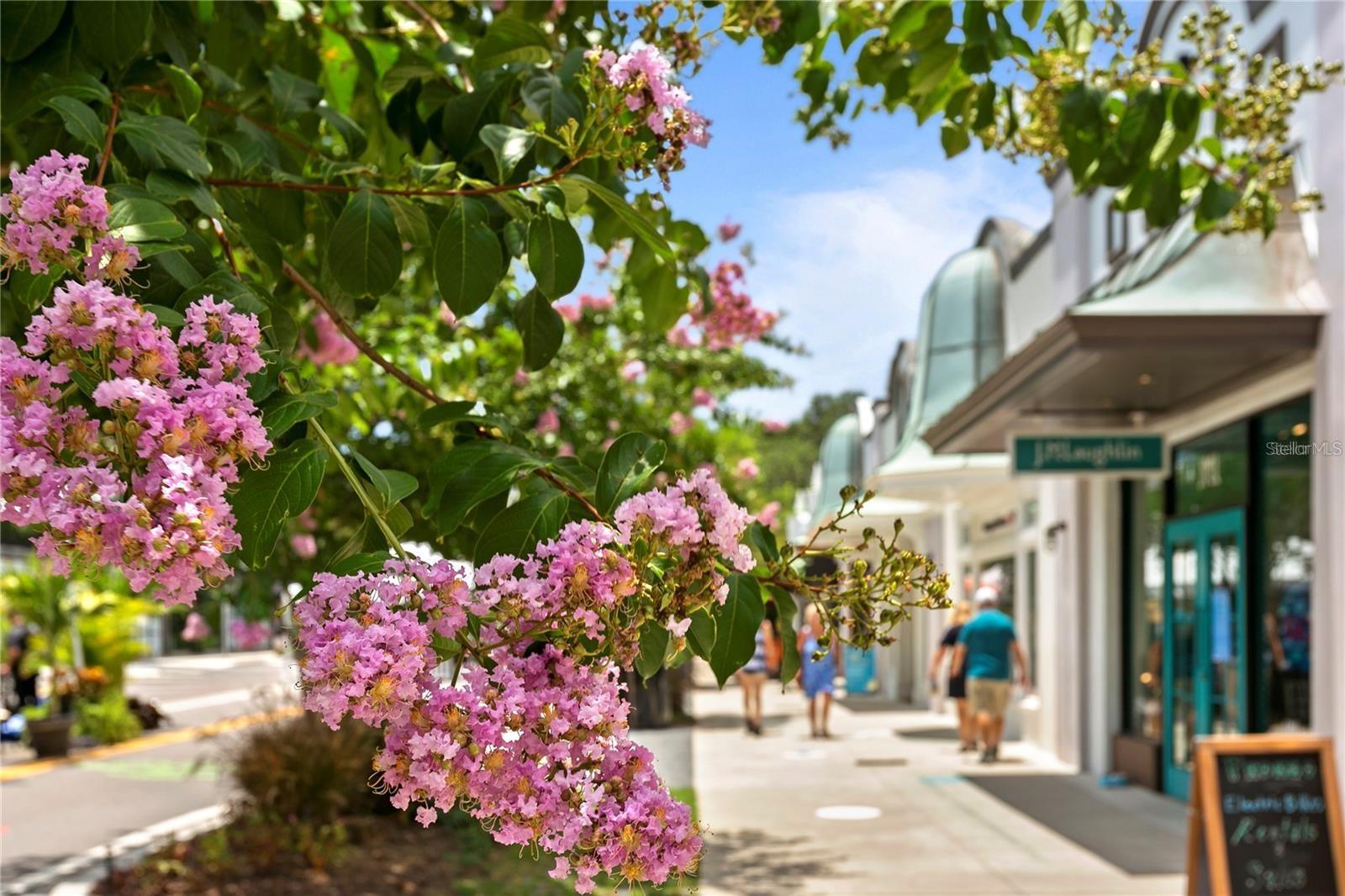 Image 6 of 84 For 811 Rome Avenue