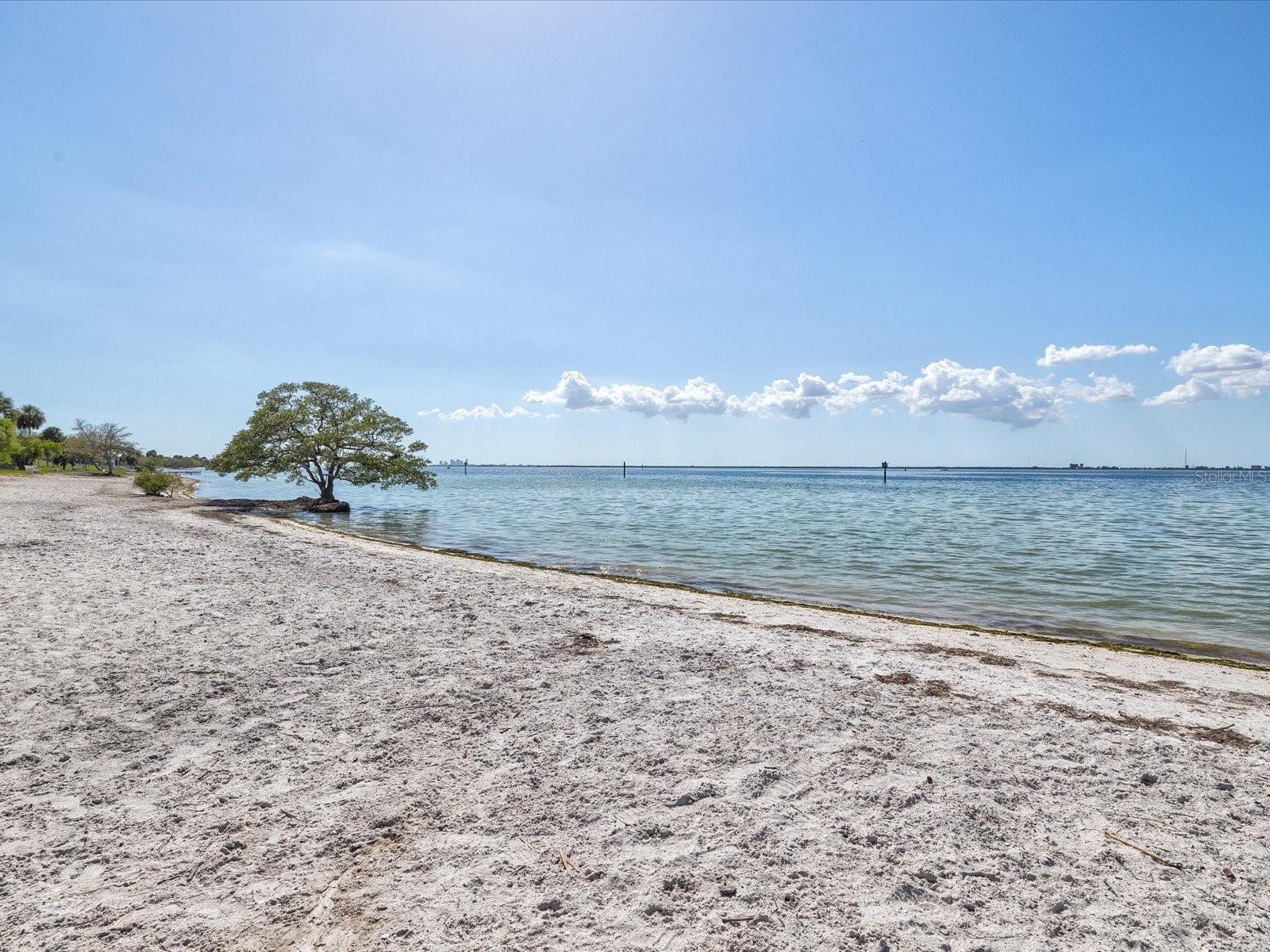 Image 60 of 76 For 5002 Idaho Street