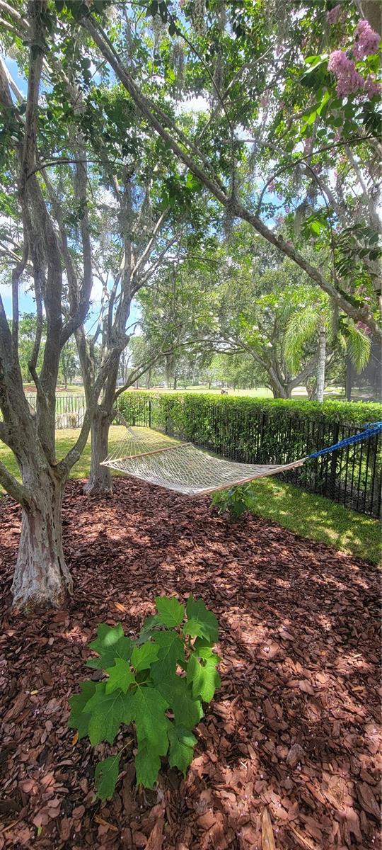 Image 39 of 67 For 5201 Silverado Way