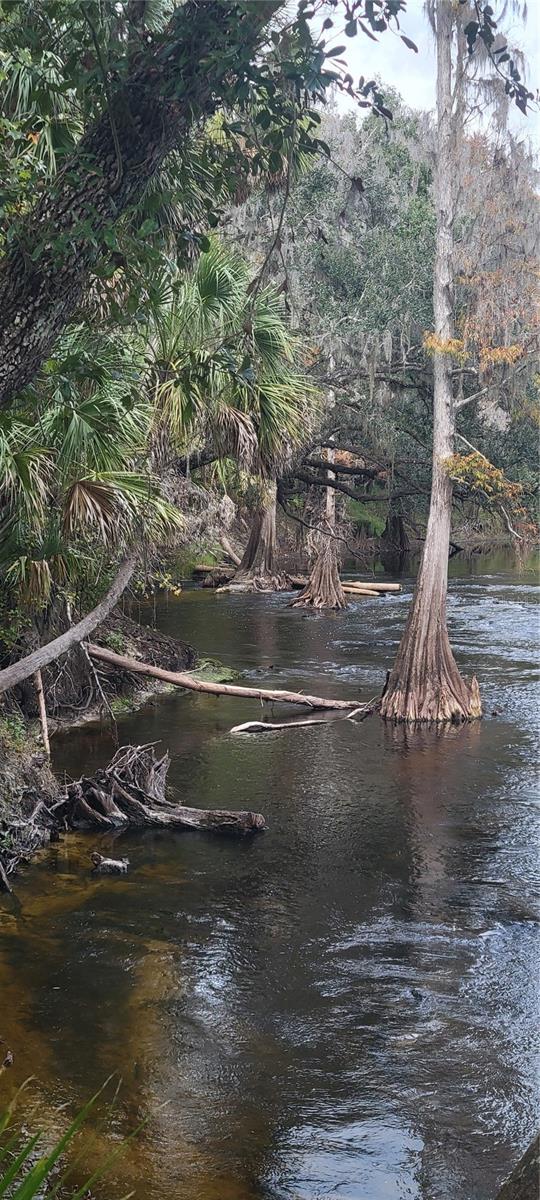 Image 43 of 67 For 5201 Silverado Way