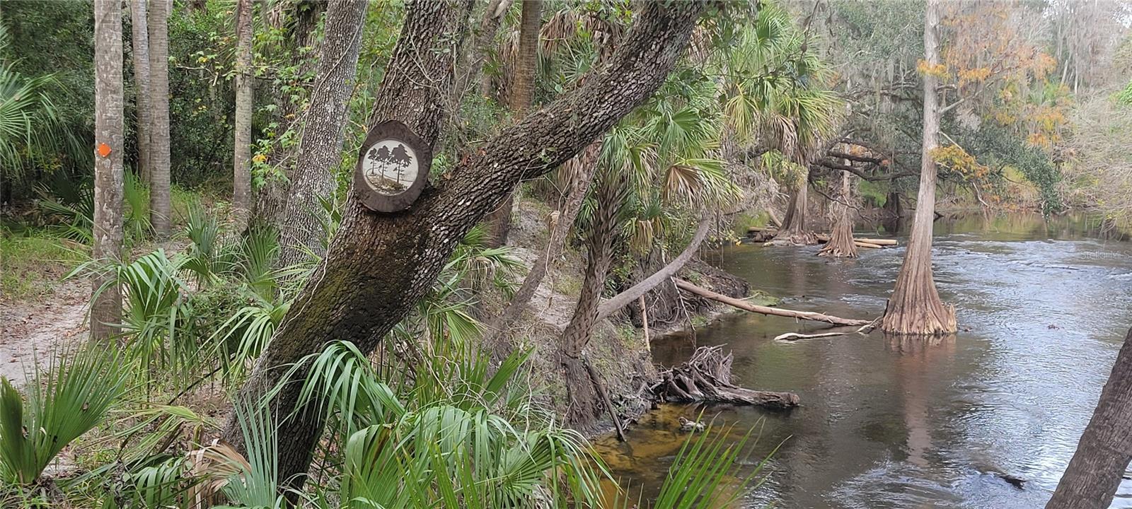 Image 45 of 67 For 5201 Silverado Way