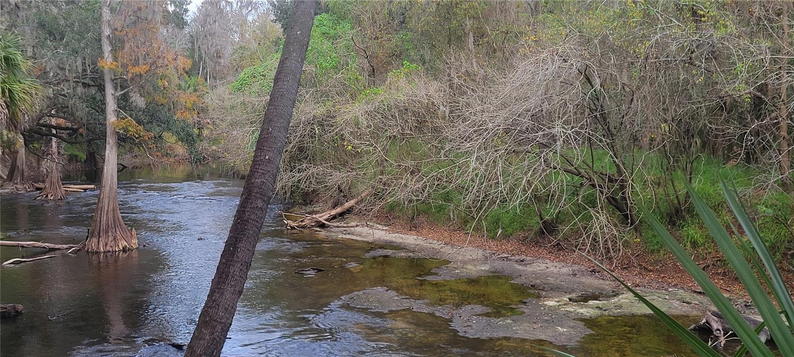 Image 46 of 67 For 5201 Silverado Way