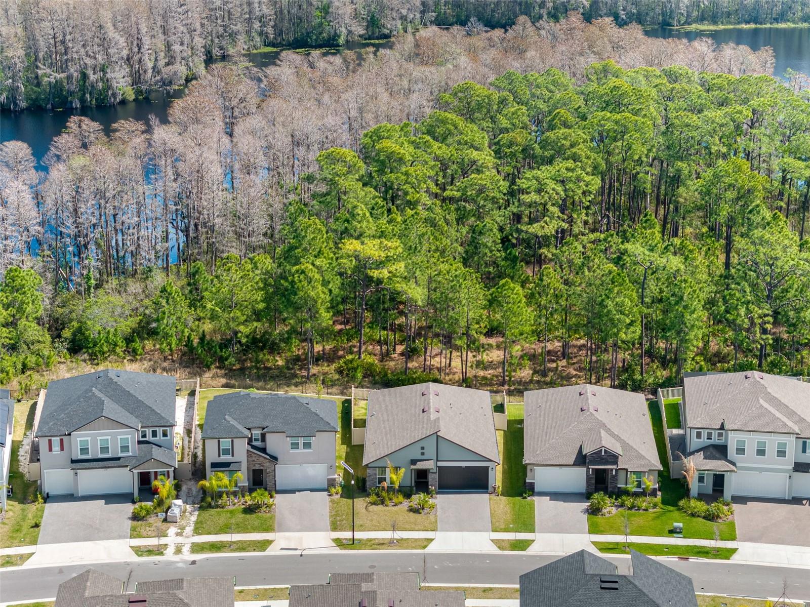 Image 44 of 47 For 18178 Serene Lake Loop