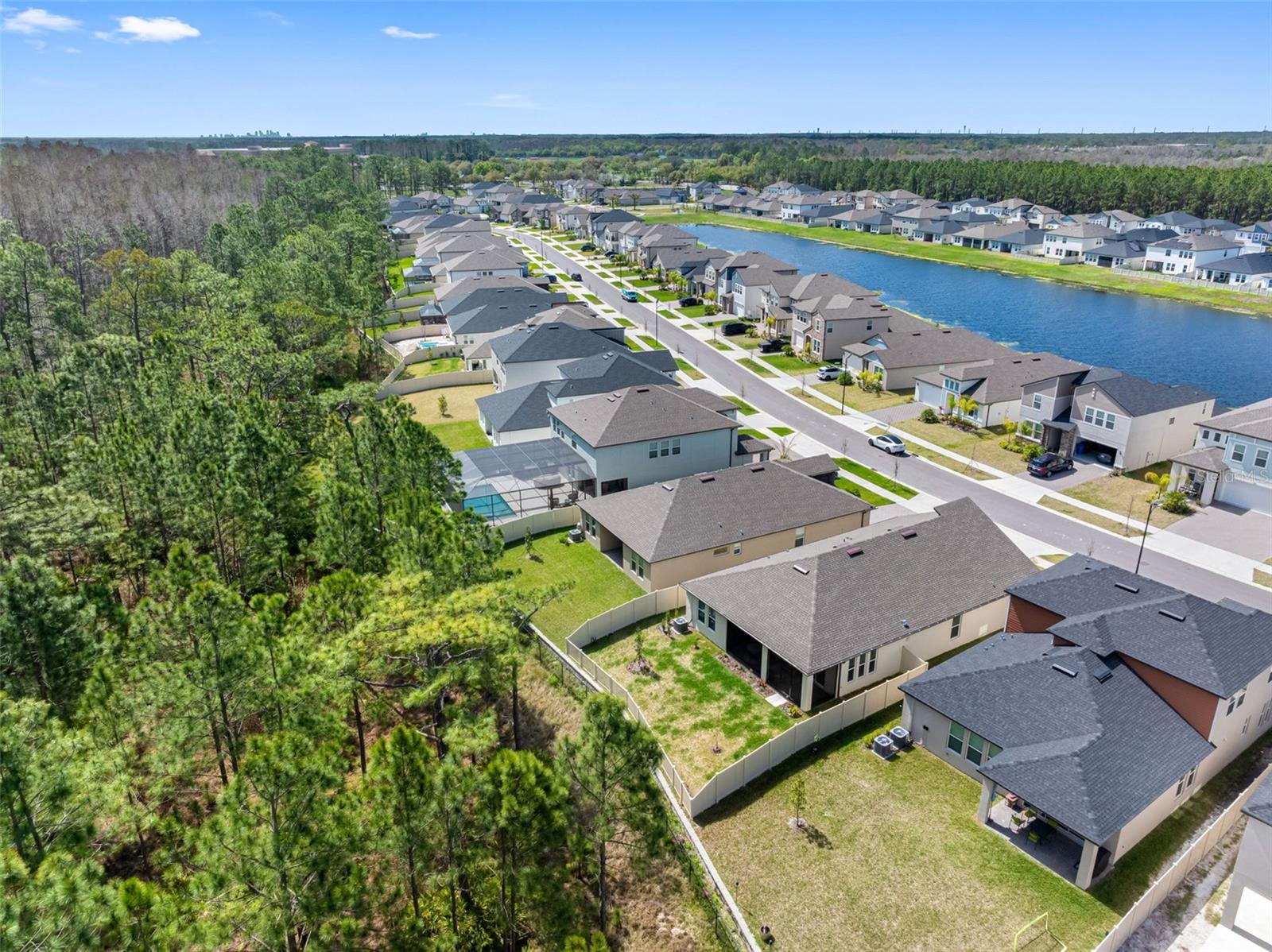 Image 46 of 47 For 18178 Serene Lake Loop